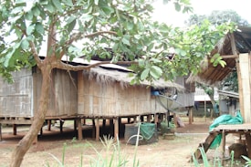 A rustic wooden house raised on stilts is surrounded by lush green vegetation. The structure has a thatched roof, and a satellite dish is attached to the side. Various household items and plants can be seen around the house, creating a simple and rural ambiance.