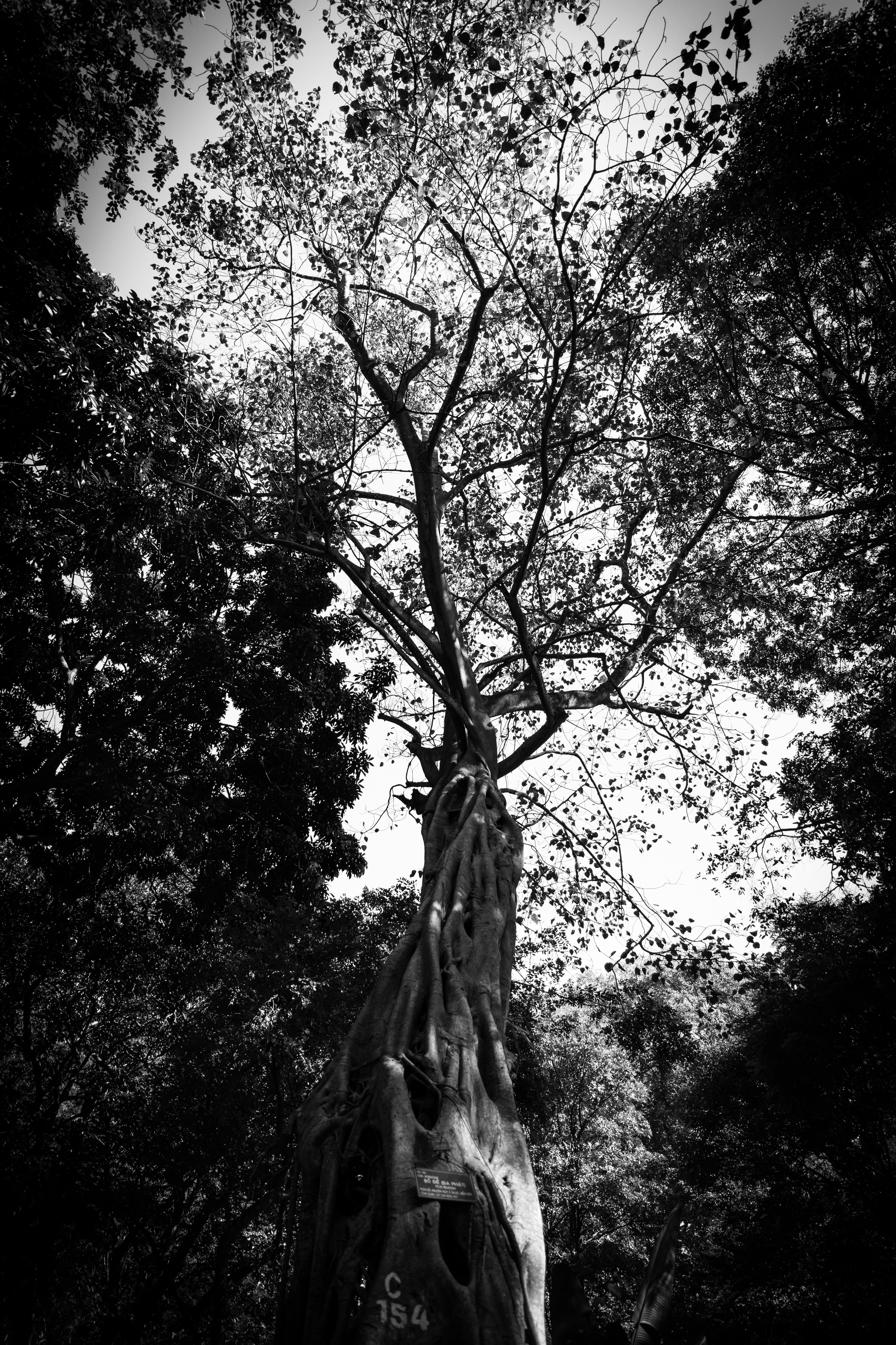 Photo by hongochai10