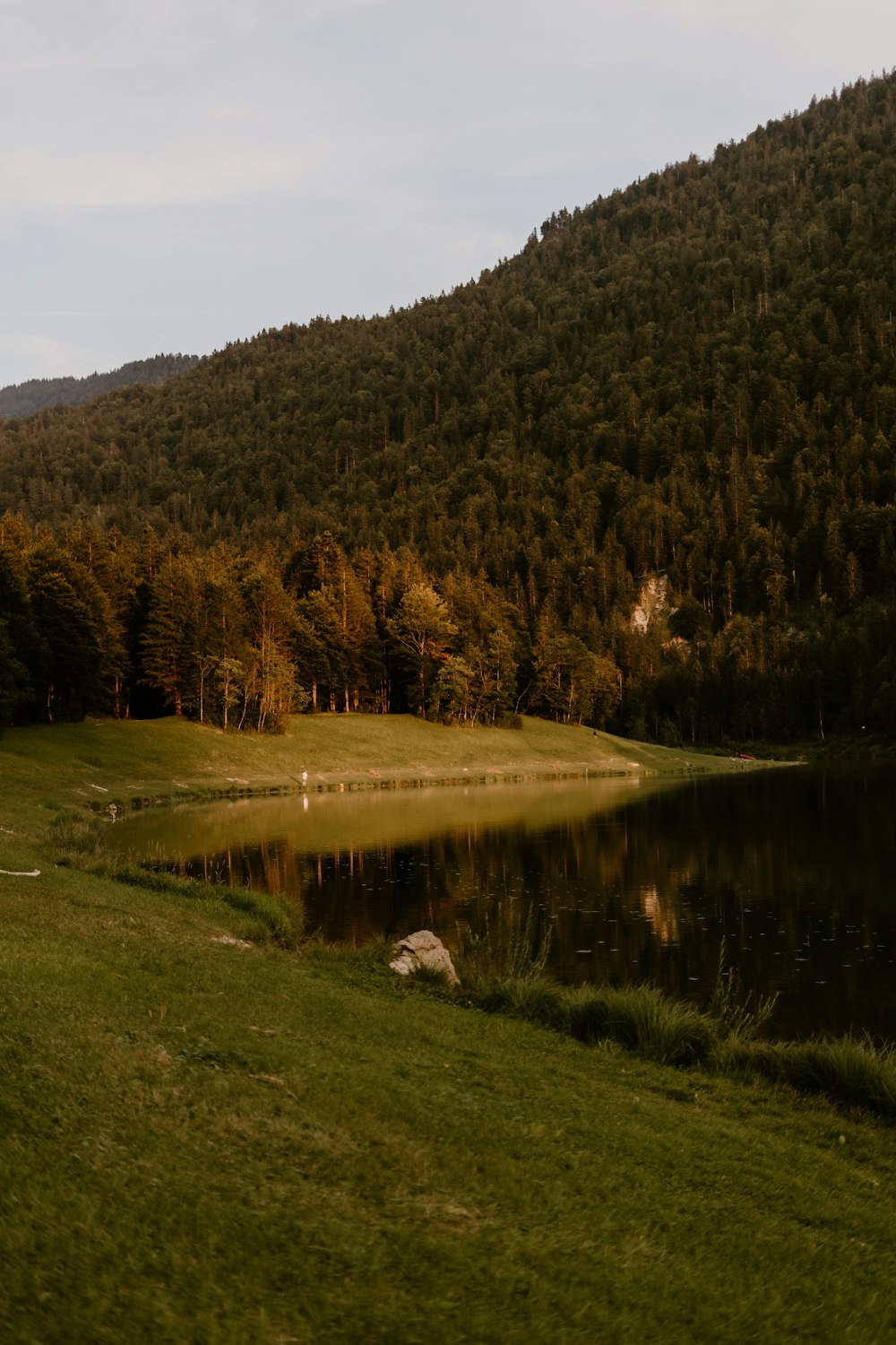 a grassy field next to a lake surrounded by trees