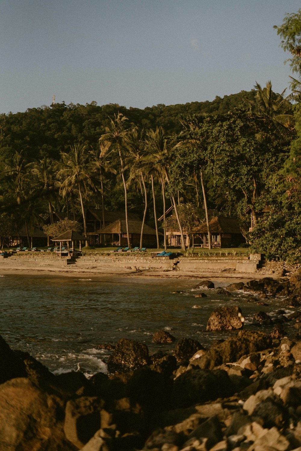 a view of a beach with palm trees in the background