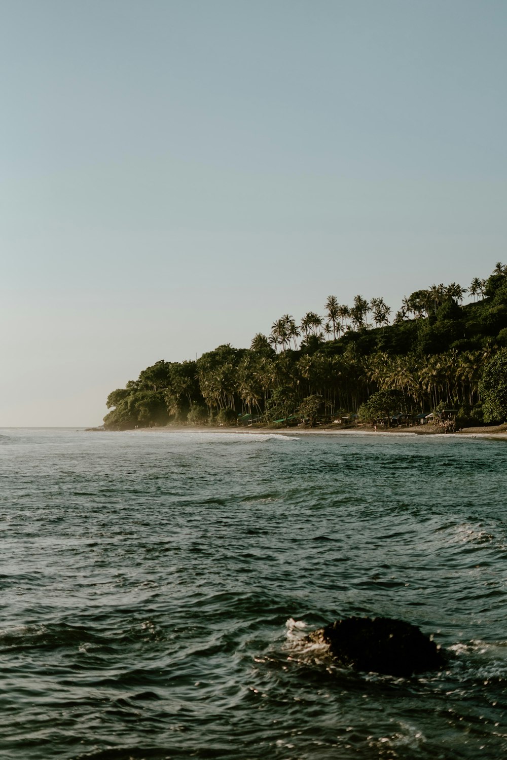 a body of water with trees in the background