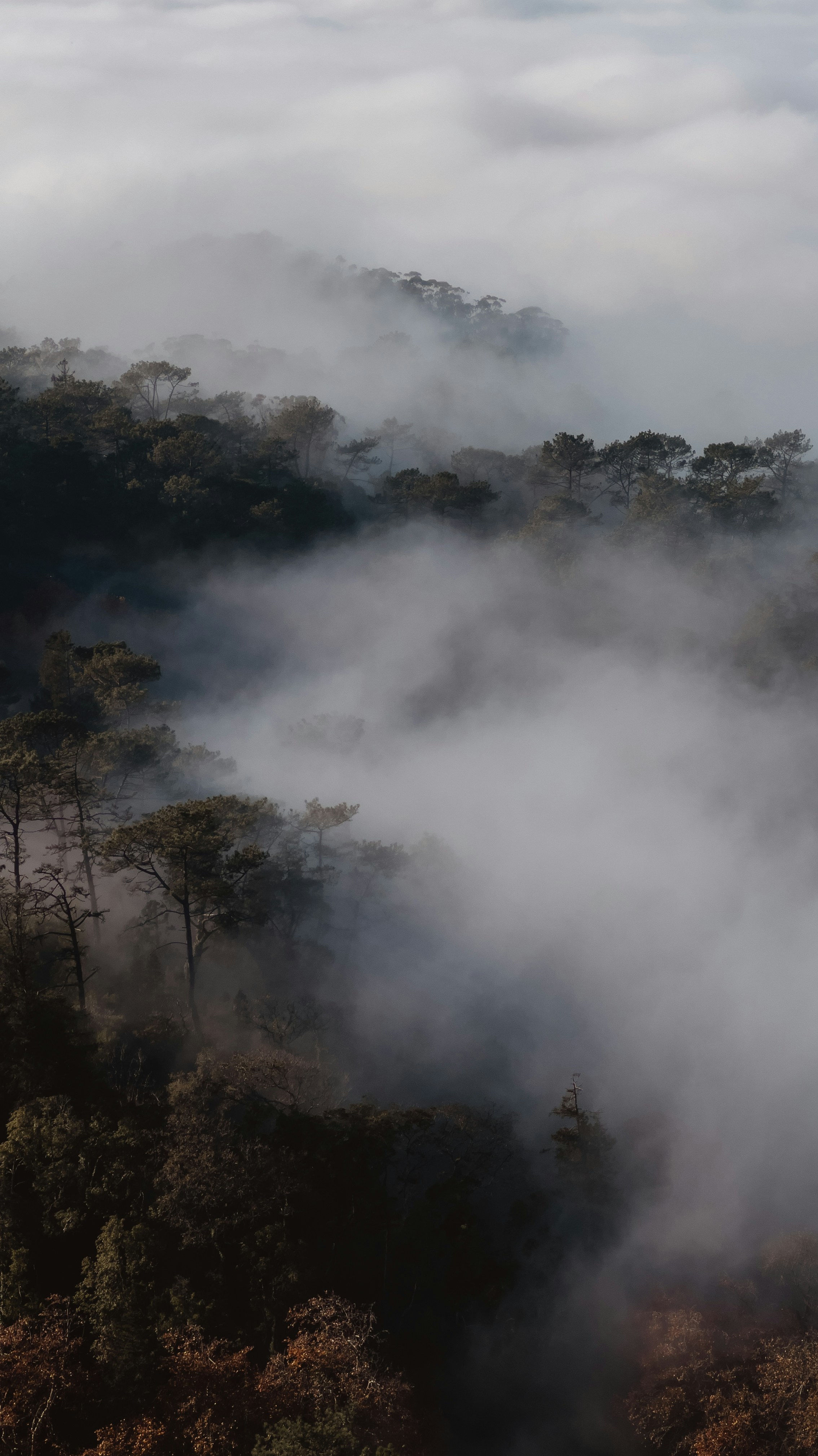 Photo by christianvasile