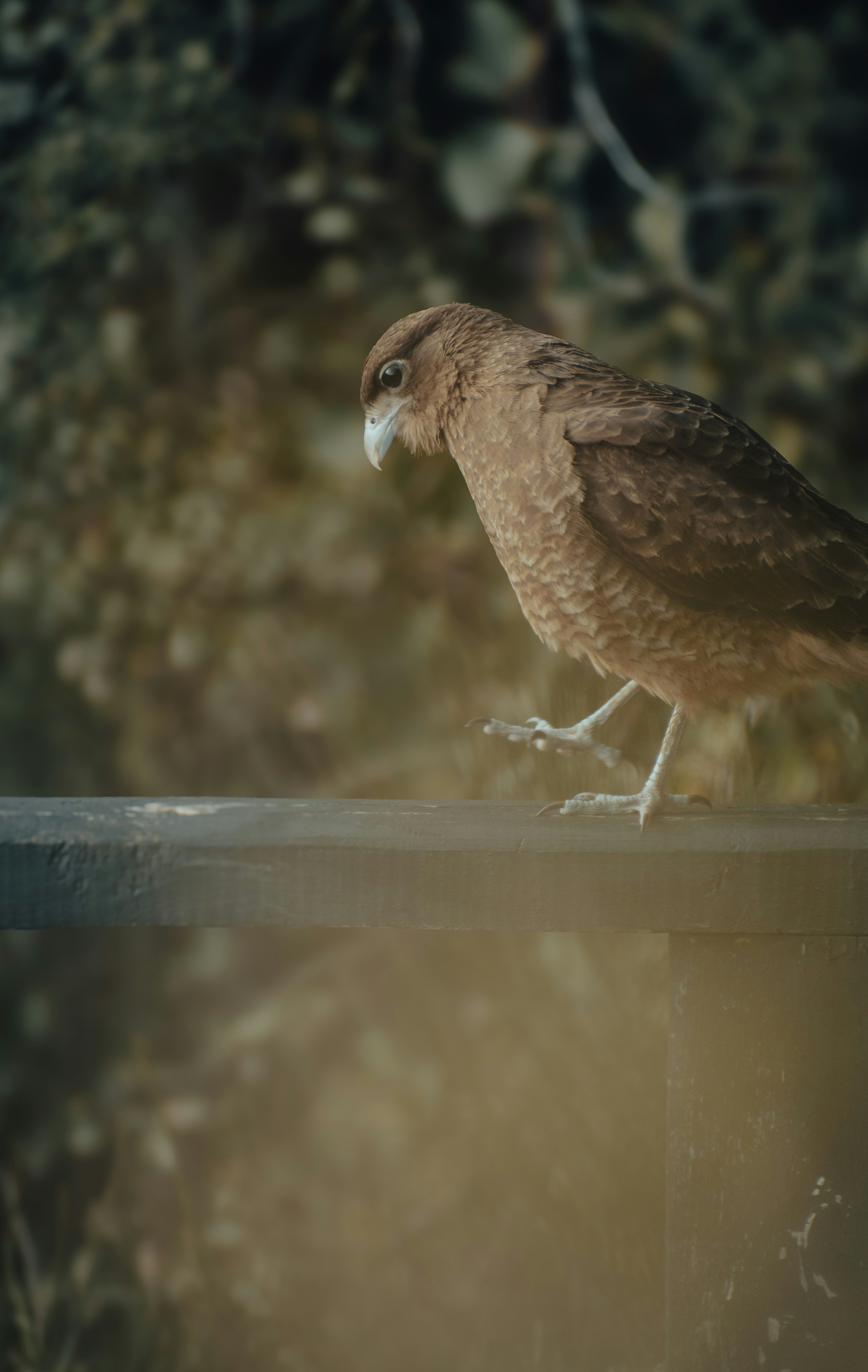 Photo by gasparzaldo