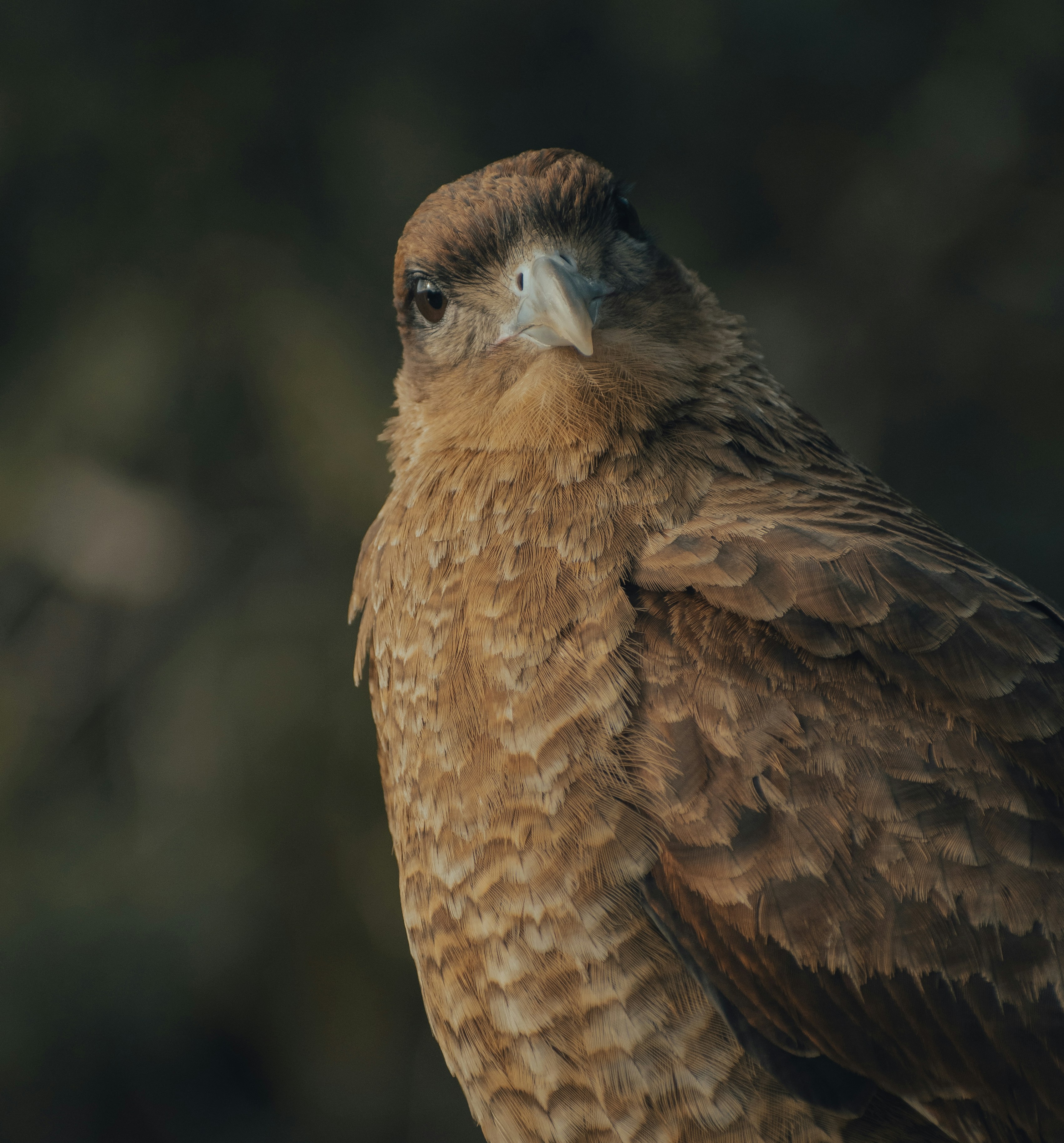 Photo by gasparzaldo