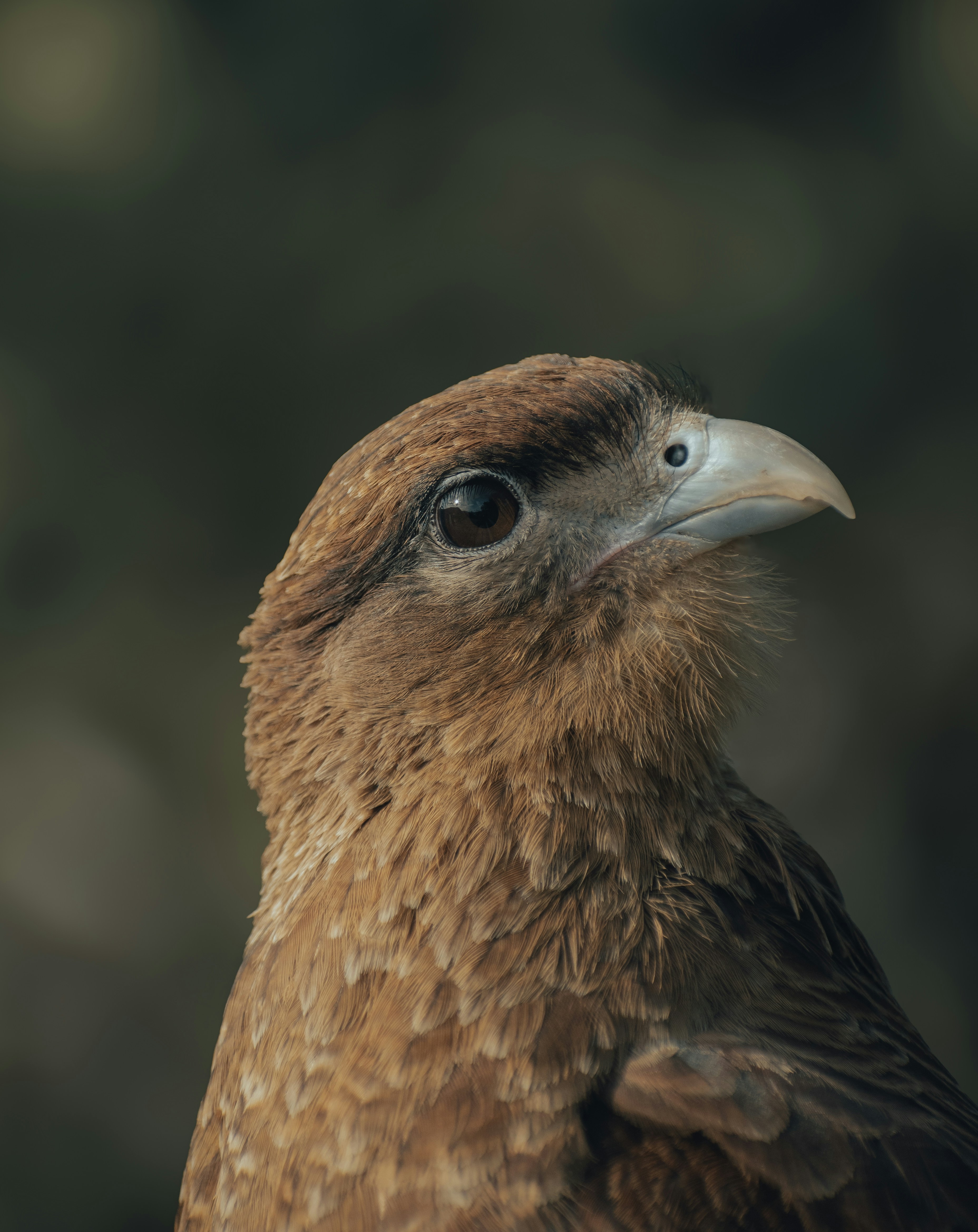 Photo by gasparzaldo