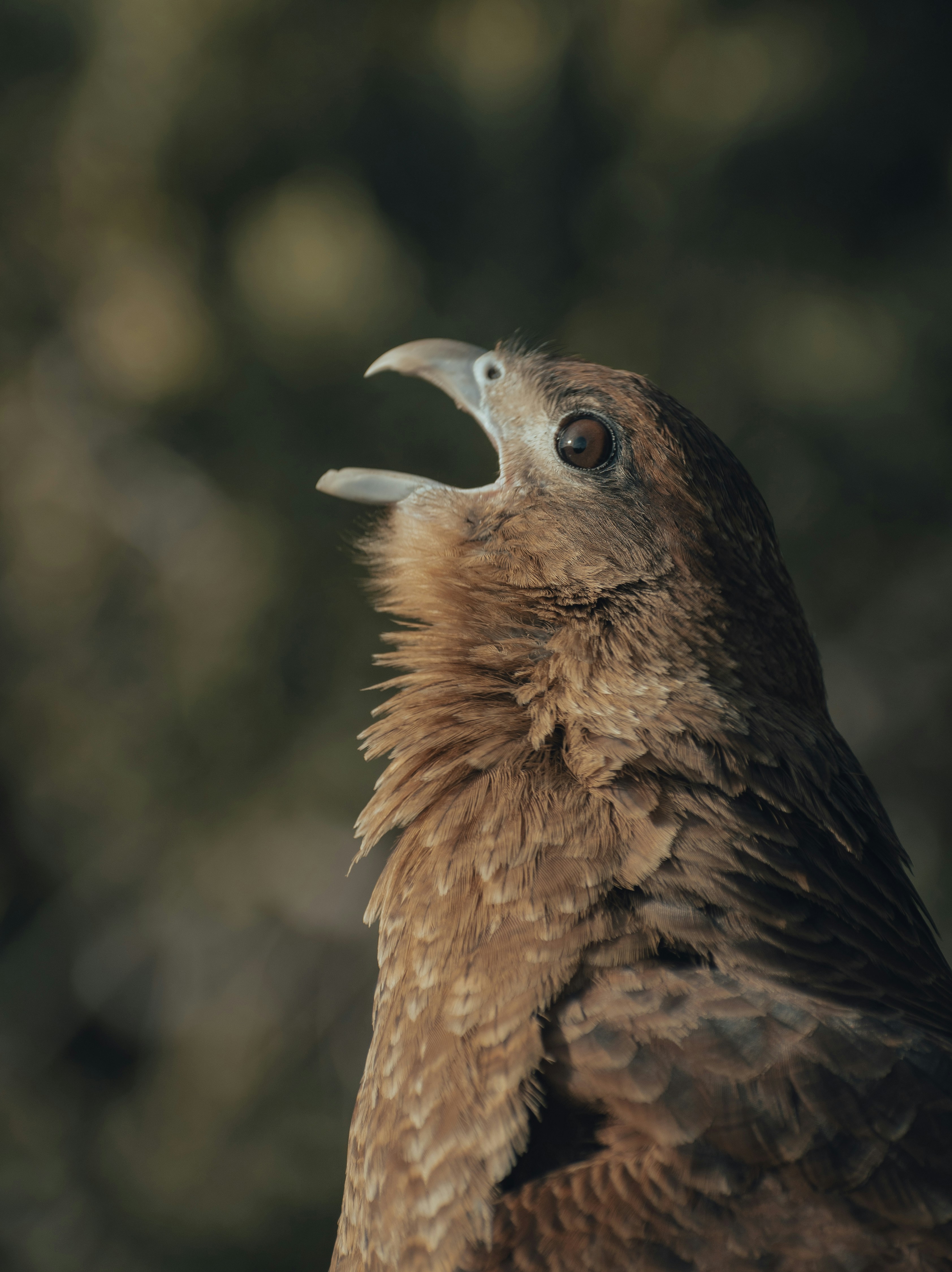 Photo by gasparzaldo