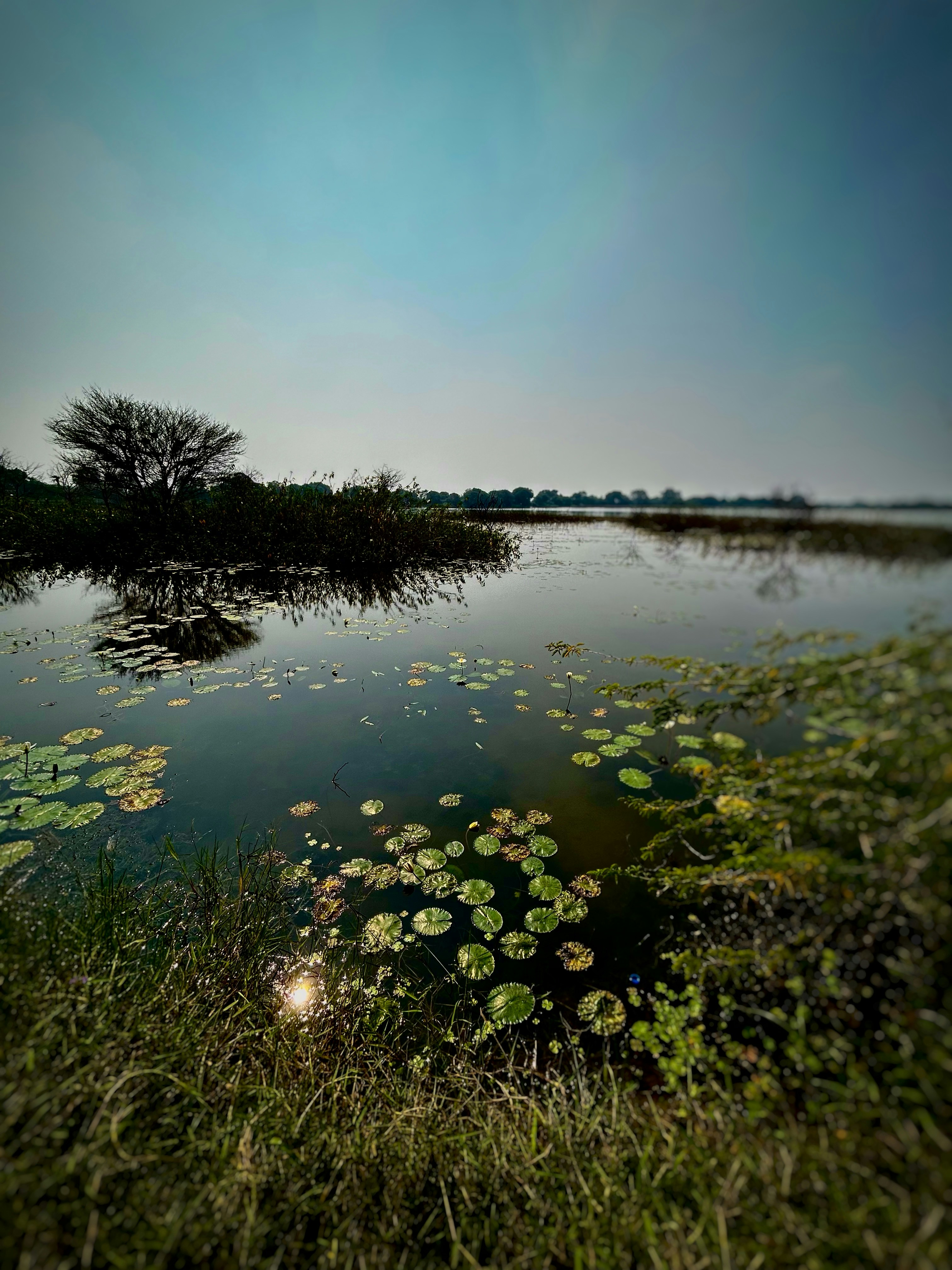 Photo by shreyansh_mishra