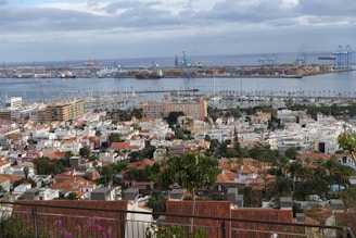 A sleek montage blending lush botanical fields, busy export docks, and a modern tech workspace.