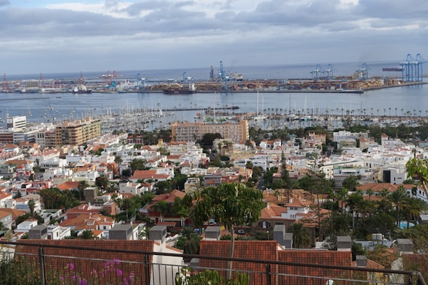 A sleek montage blending lush botanical fields, busy export docks, and a modern tech workspace.