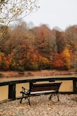 An inviting rustic wooden bench overlooking a peaceful lake surrounded by autumn trees.