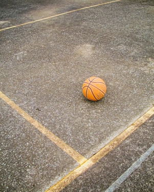 A close-up shot of a well-used basketball resting on an outdoor cement court bathed in golden afternoon light.