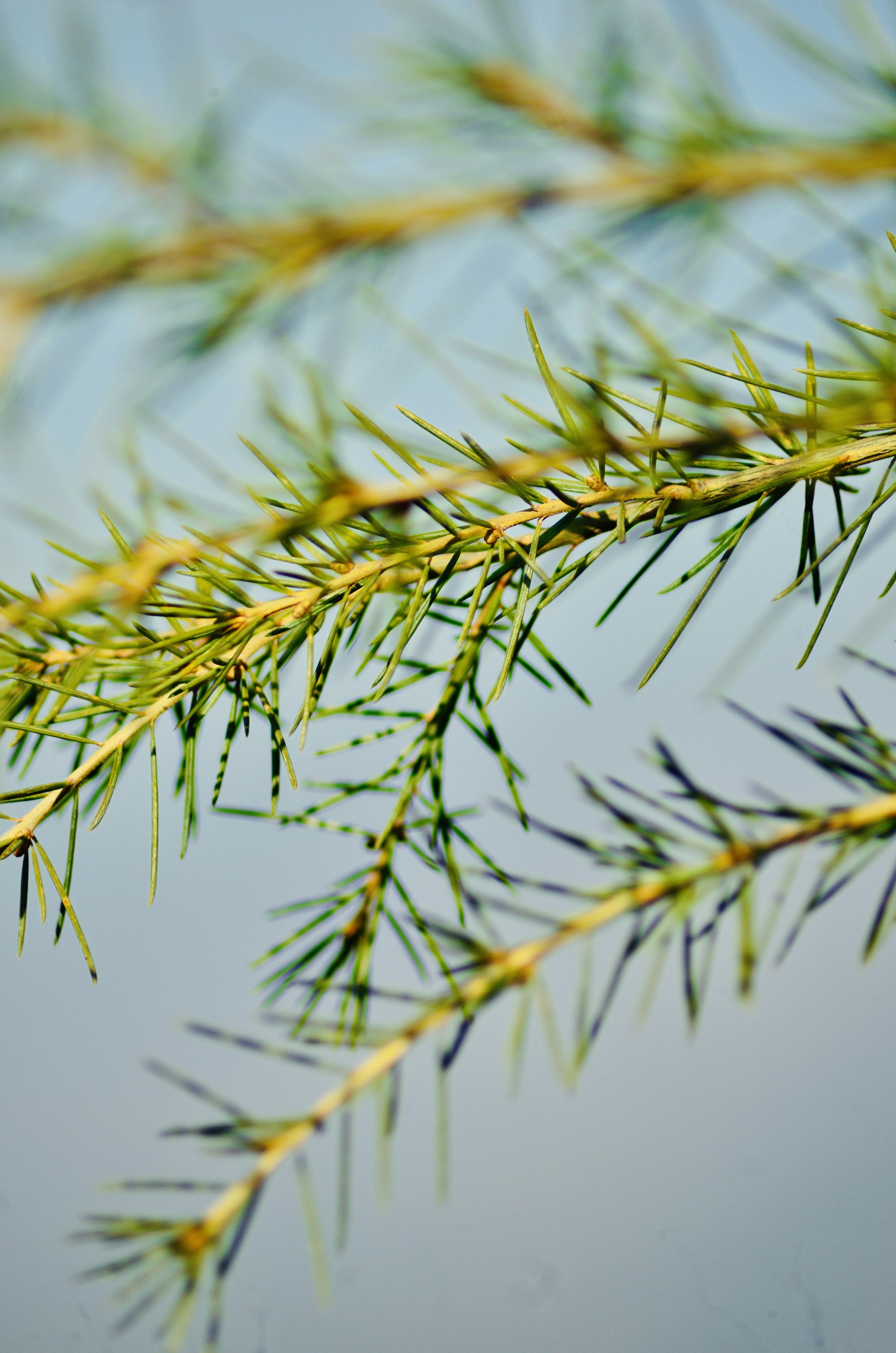 Photo by omkar_fcb1899