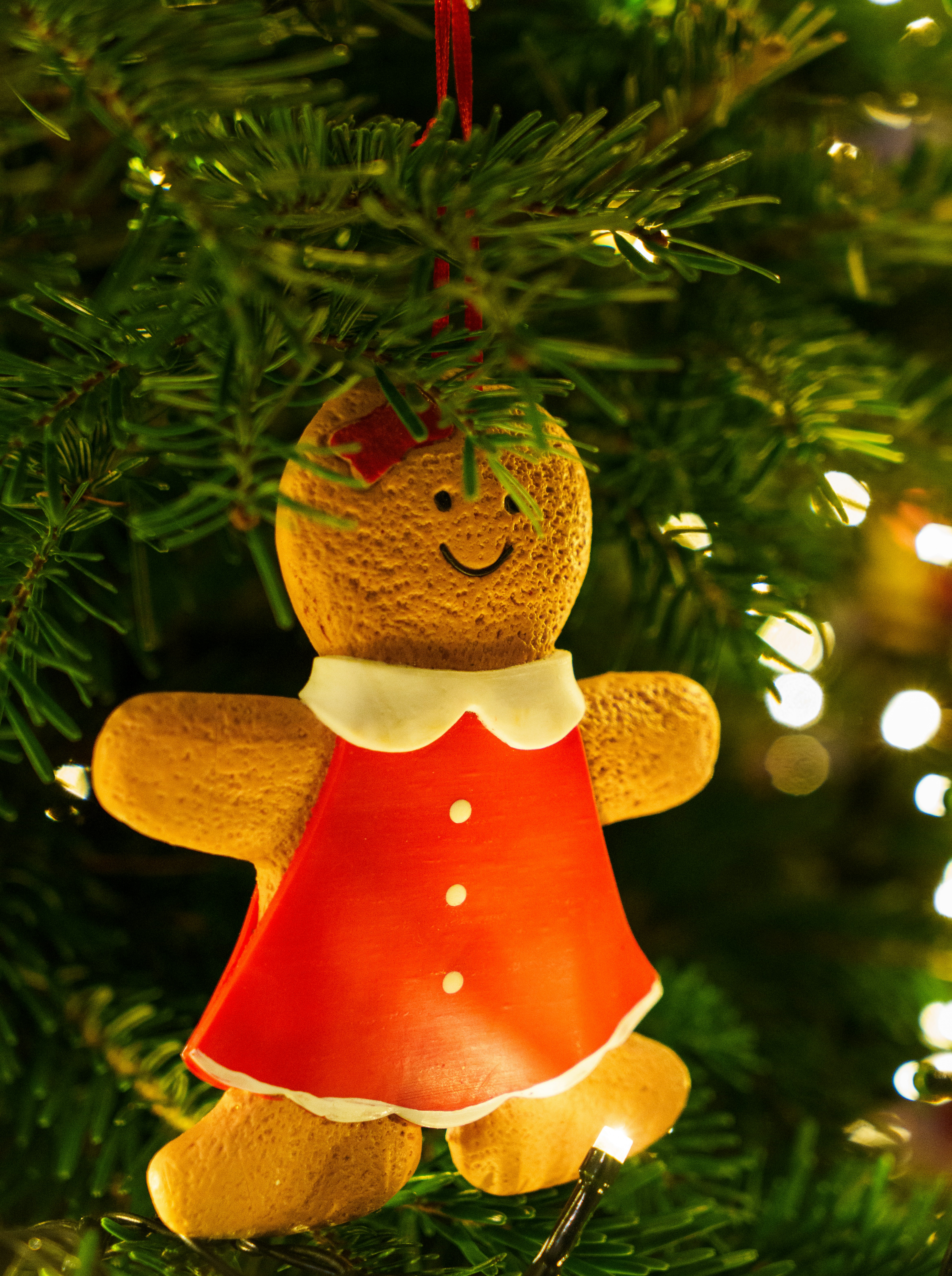 Photo by maverick2001