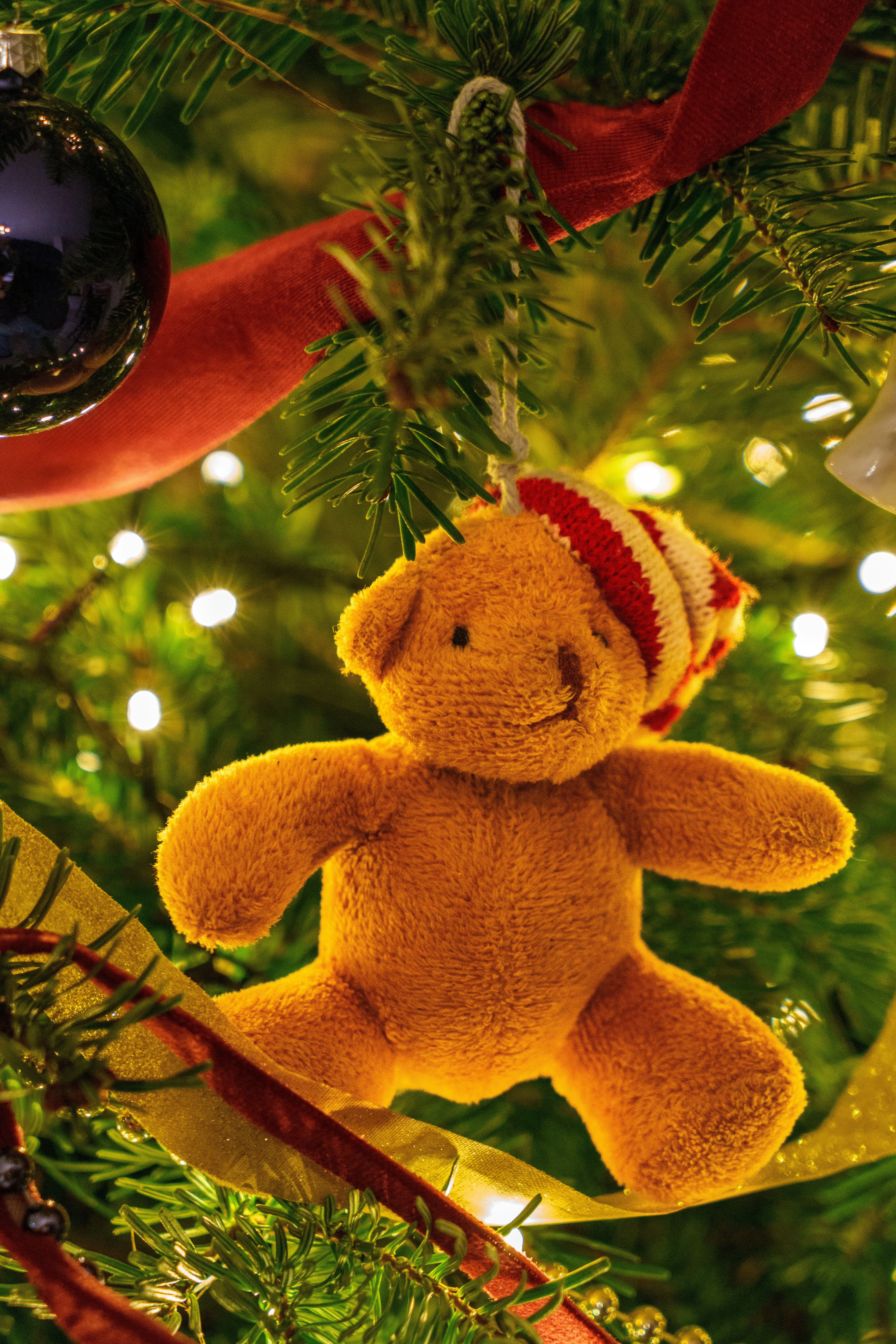 Photo by maverick2001