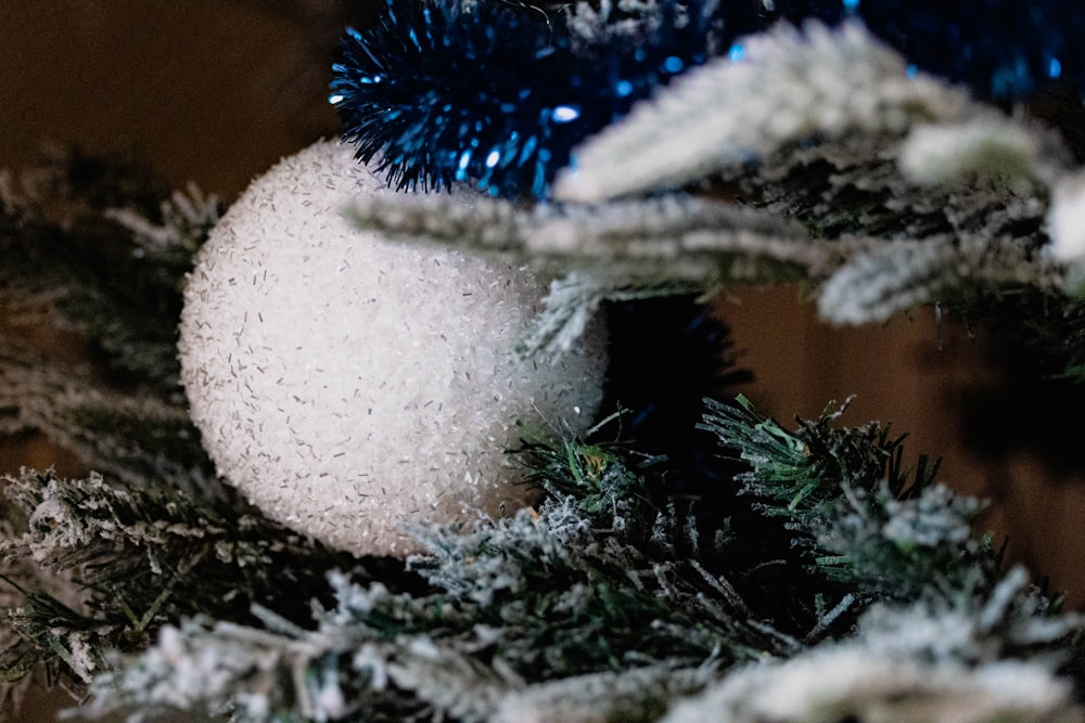 a close up of a christmas tree with a snow ball
