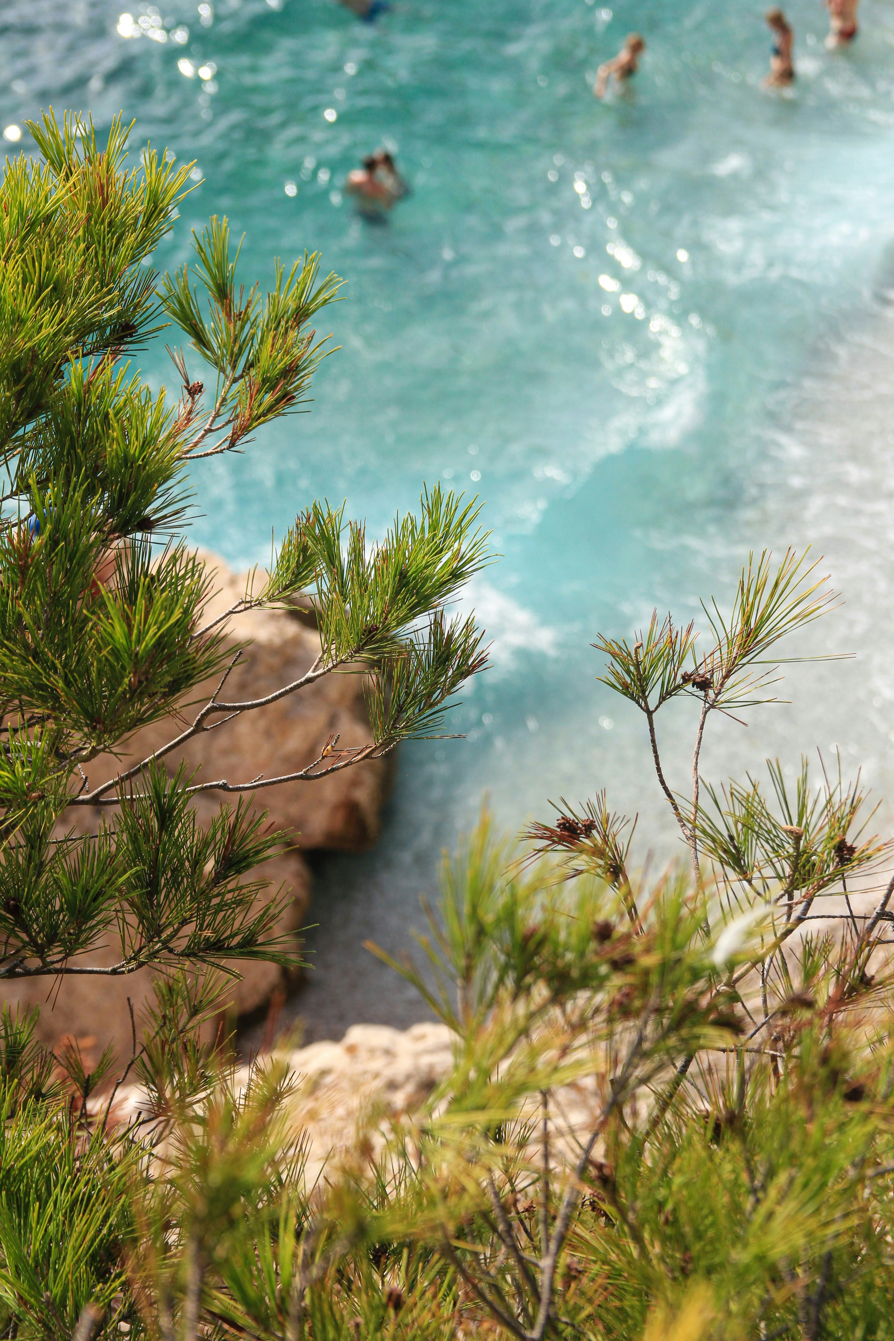 Vols directs disponibles et leurs avantages