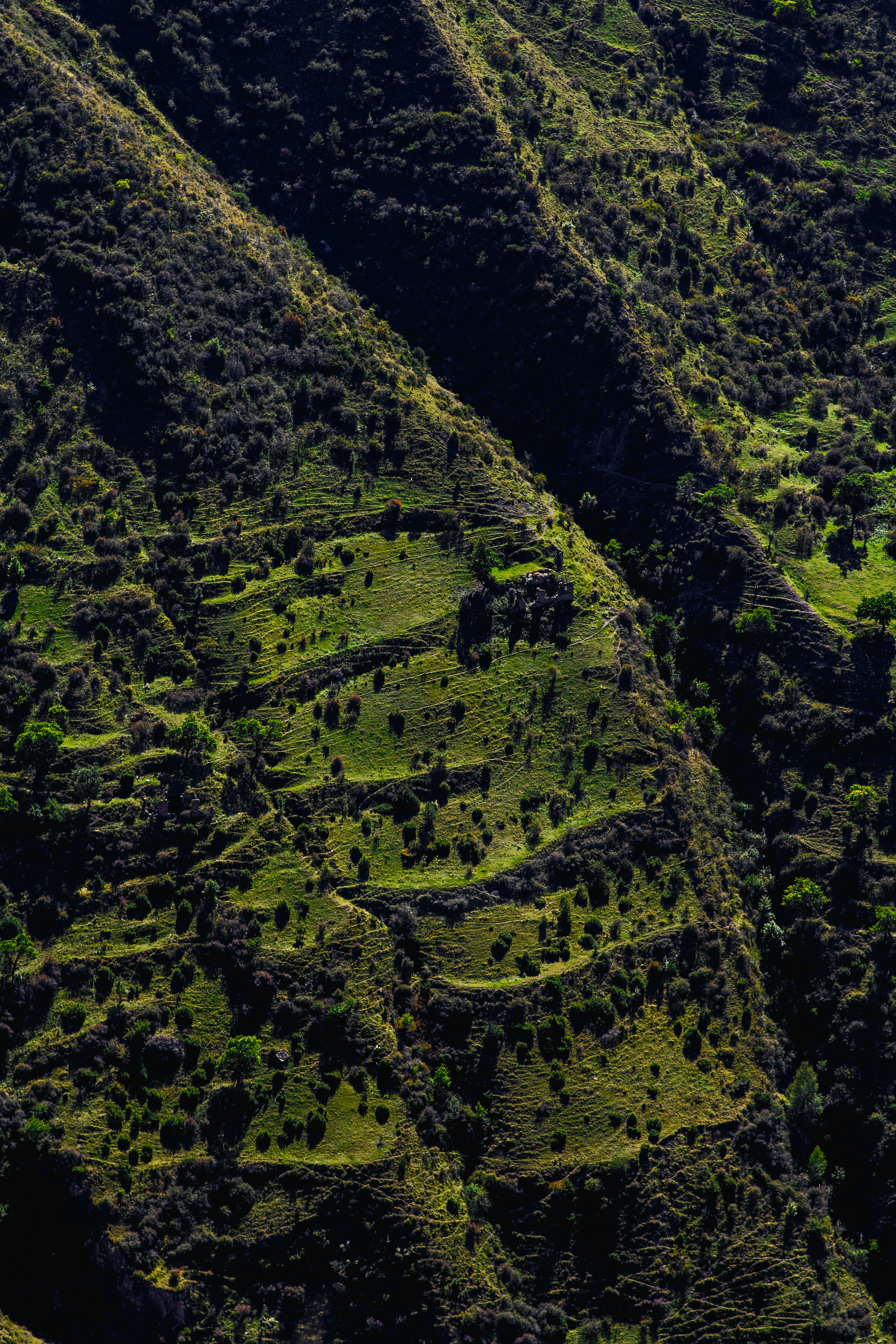 Photo by snatalia1516