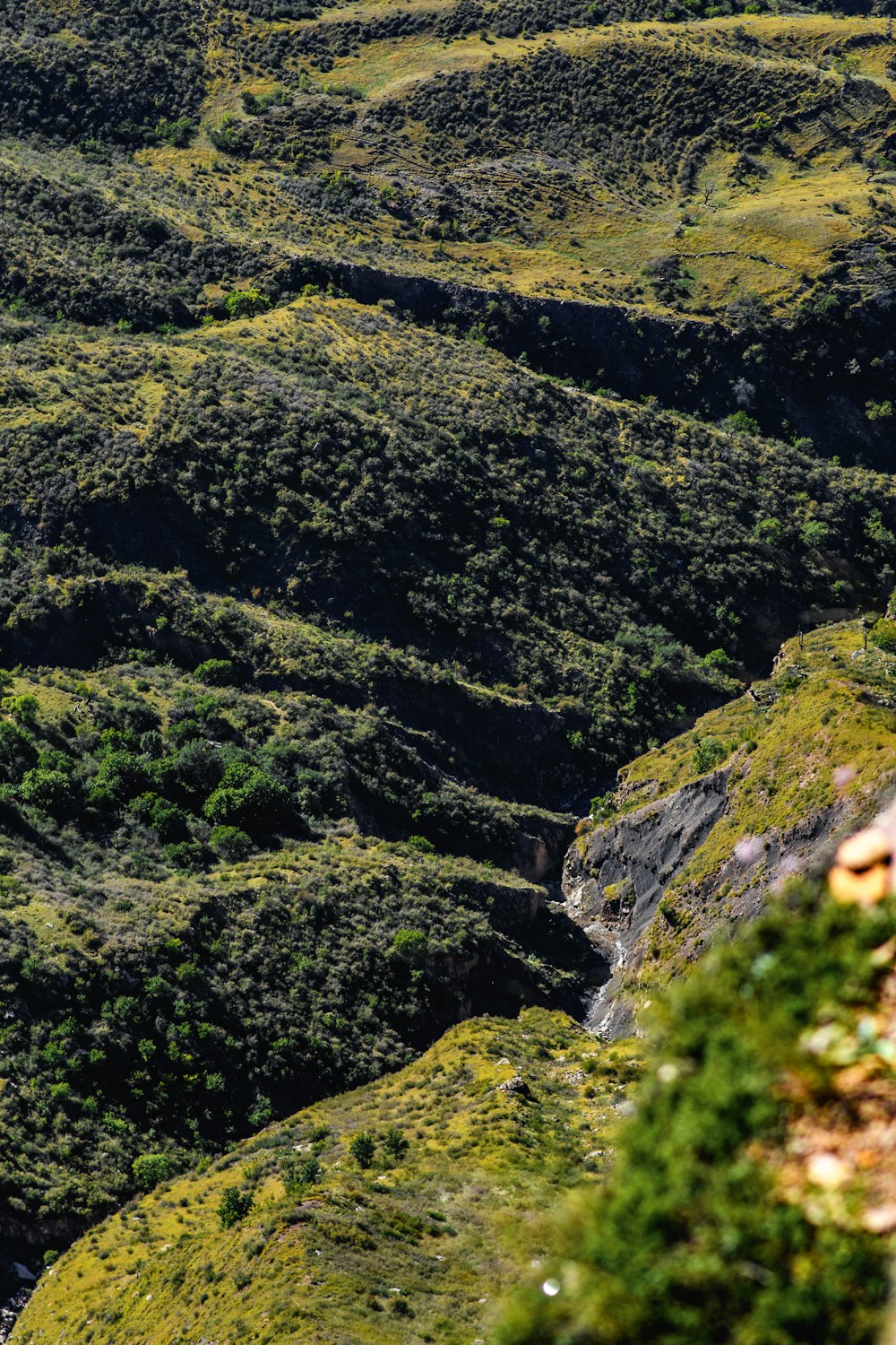 a view of a lush green mountain side