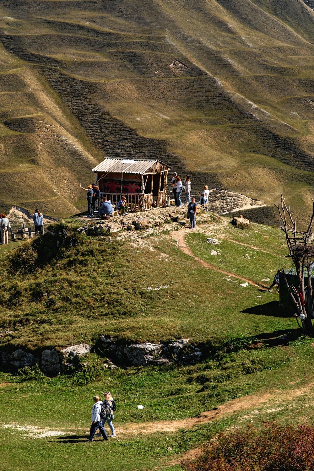 a group of people standing on top of a lush green hillside