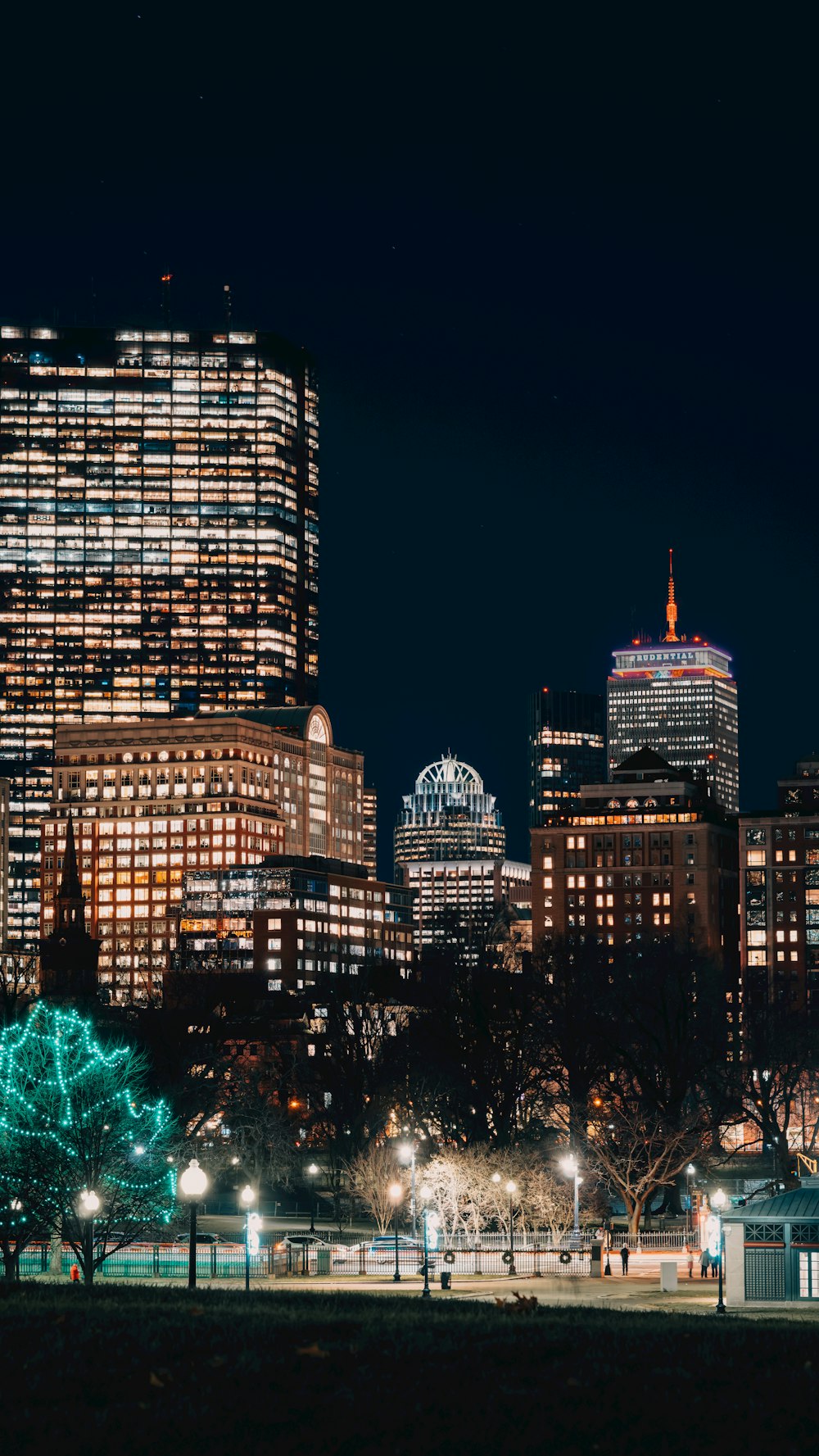 a city skyline at night with a lit up christmas tree in the foreground