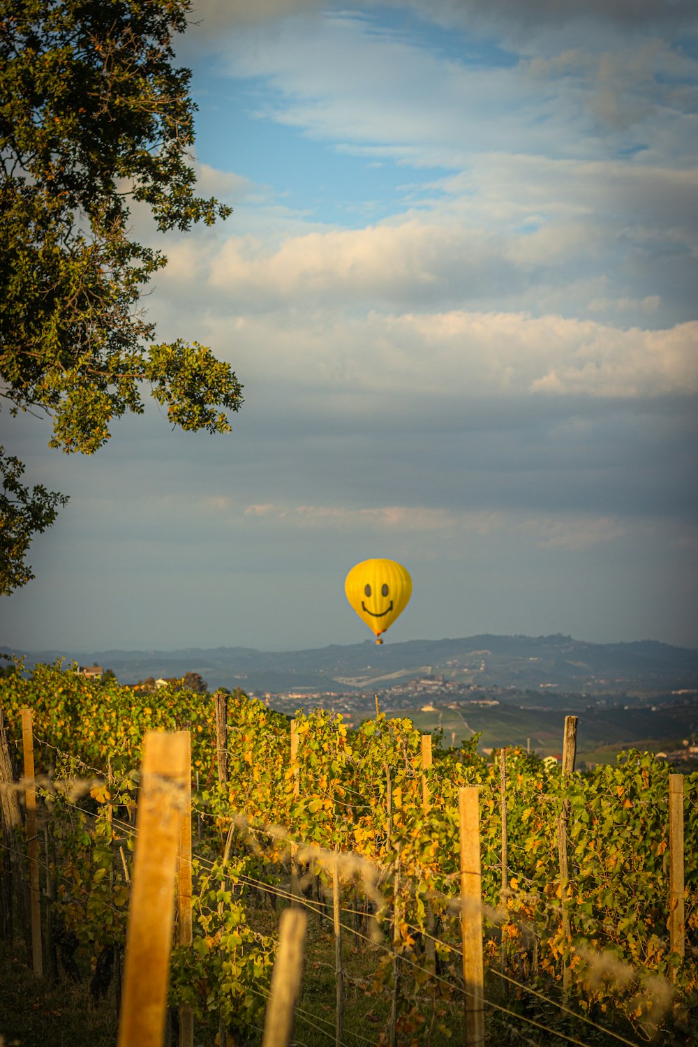 a yellow balloon with a smiley face is flying over a vineyard