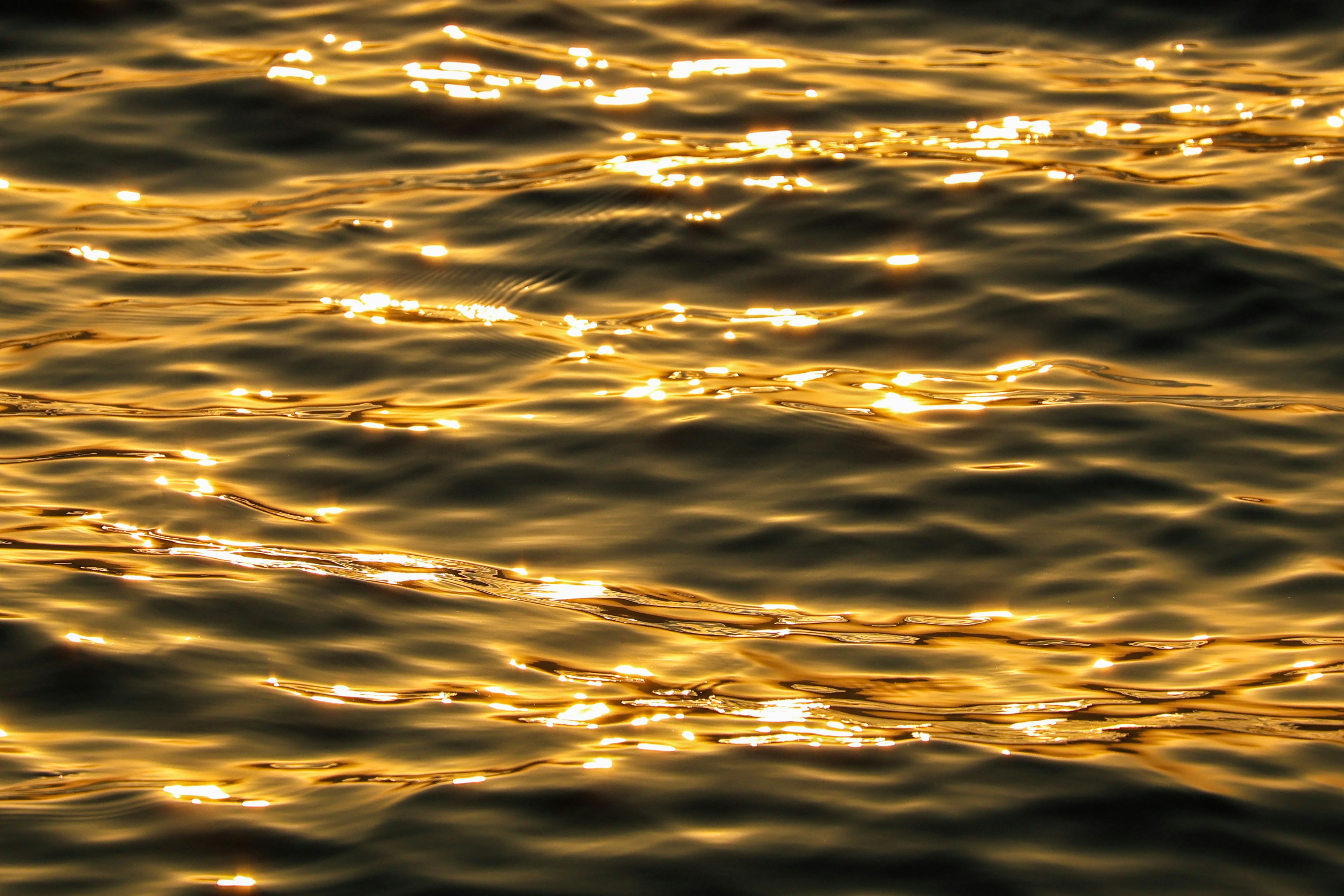 Golden sunrise over water