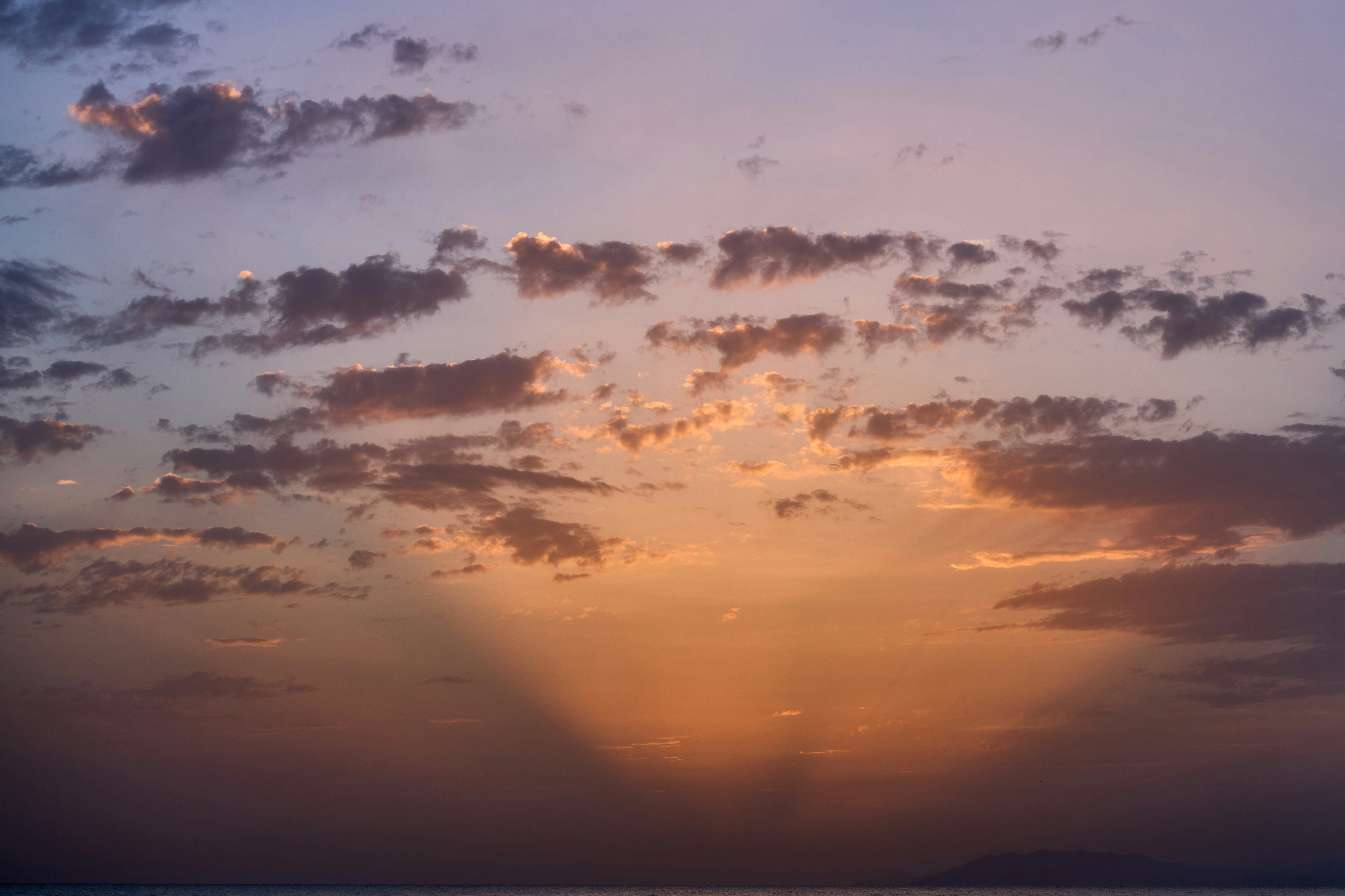 Photo by wolfgang_hasselmann