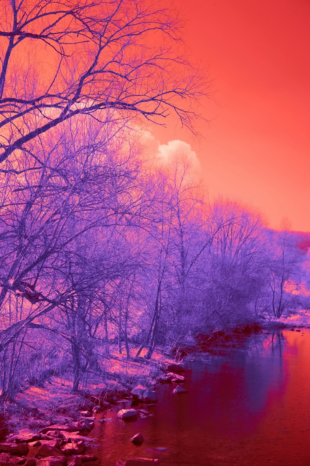 a red and purple photo of a river