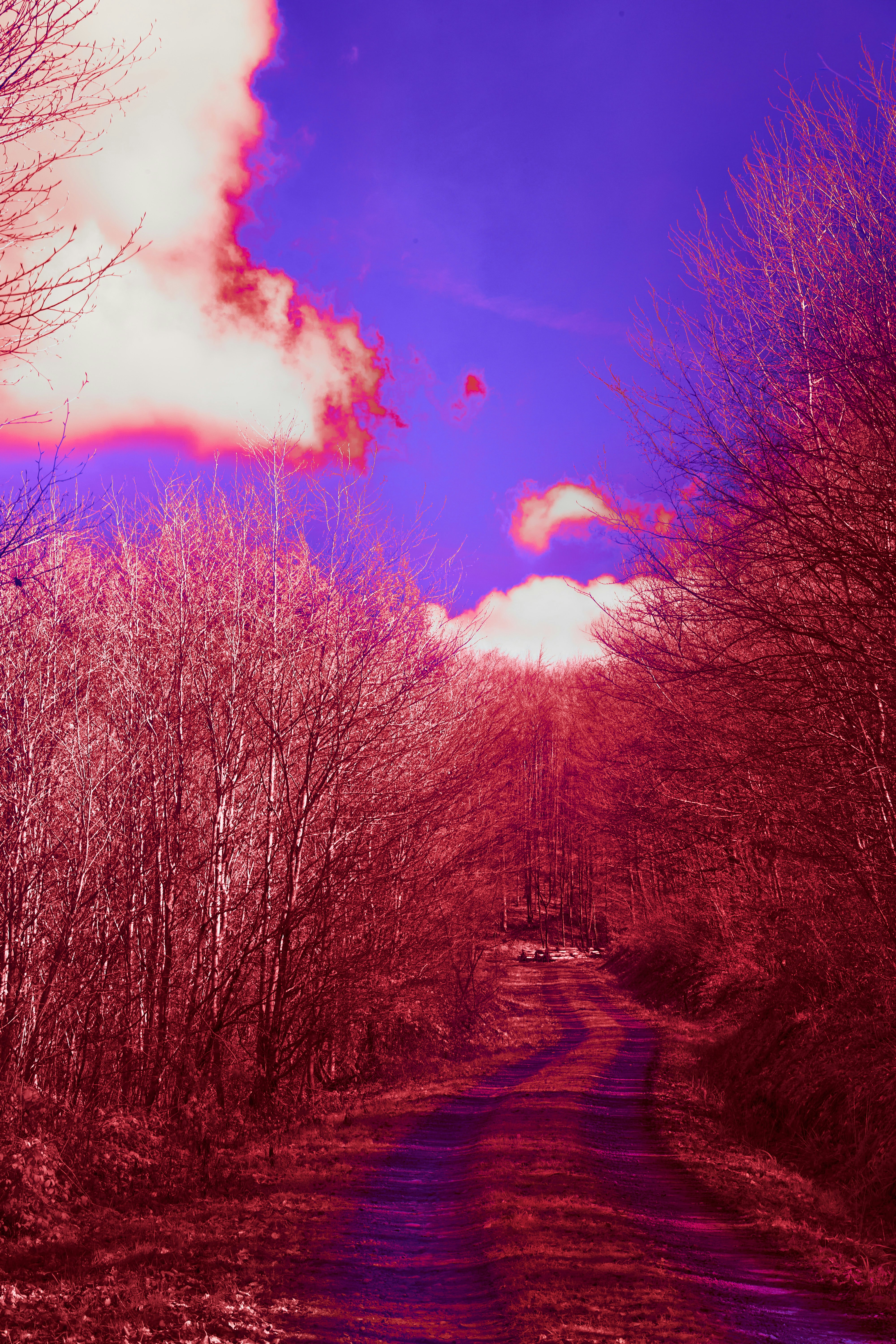 Photo by wolfgang_hasselmann