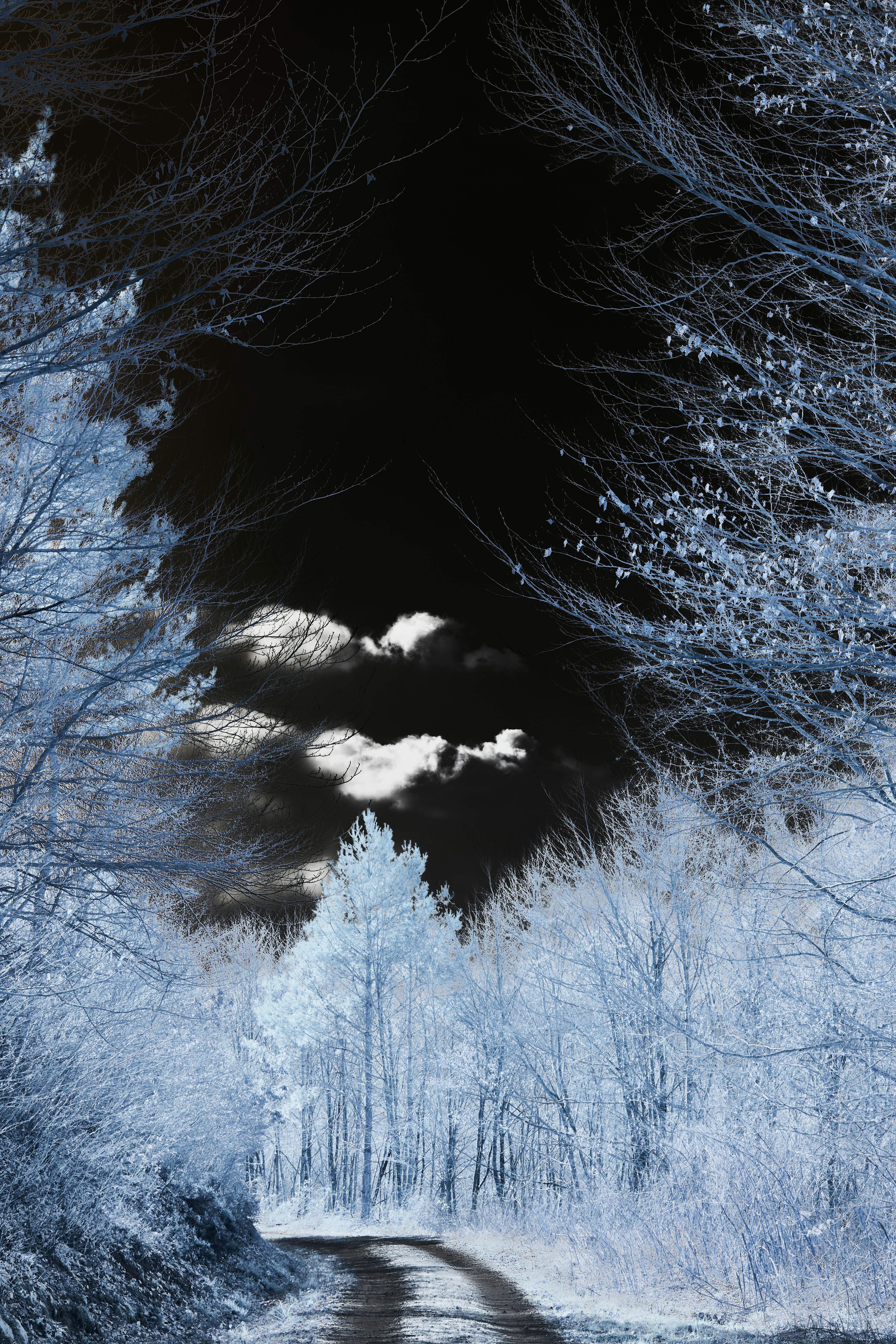 Photo by wolfgang_hasselmann