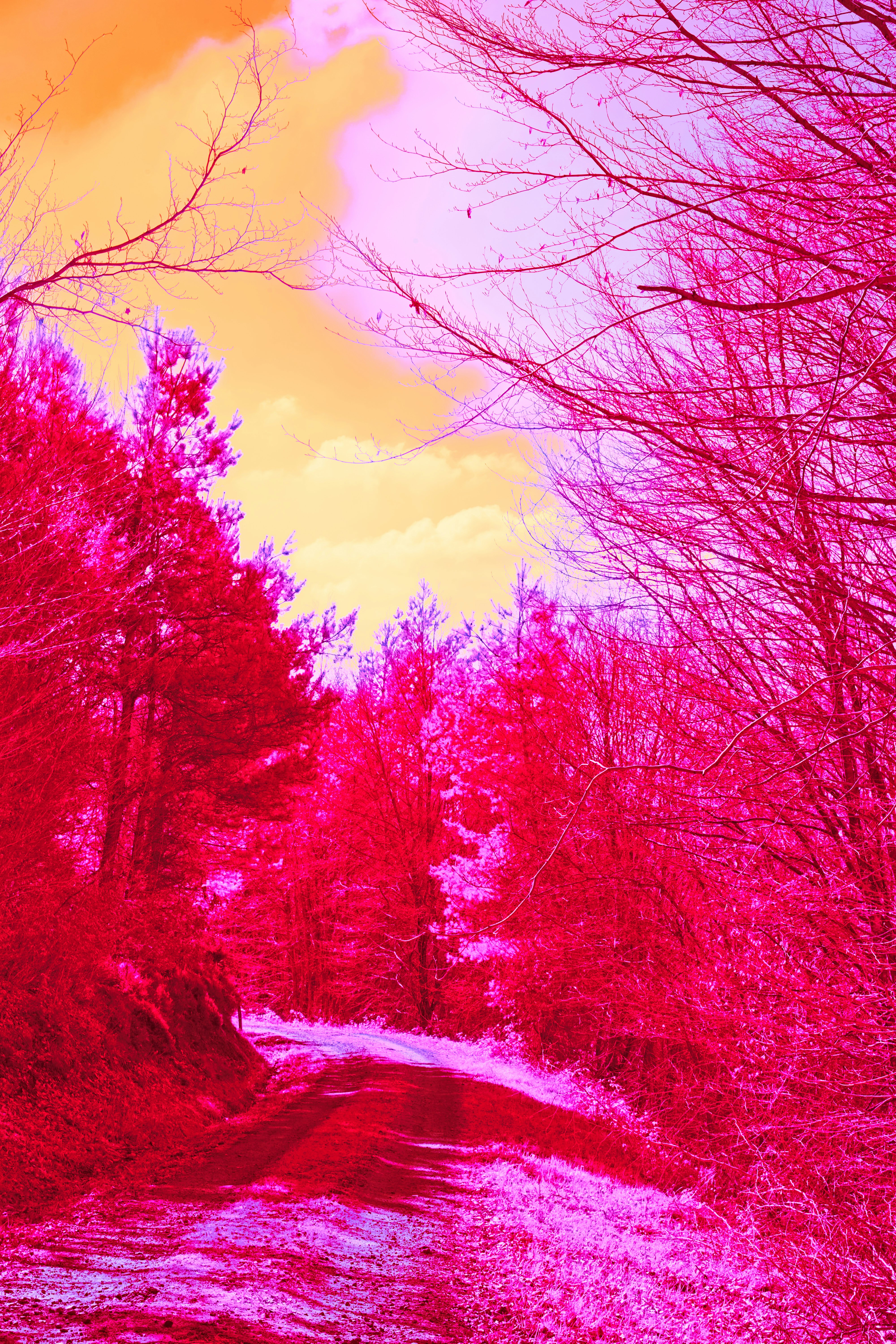 Photo by wolfgang_hasselmann