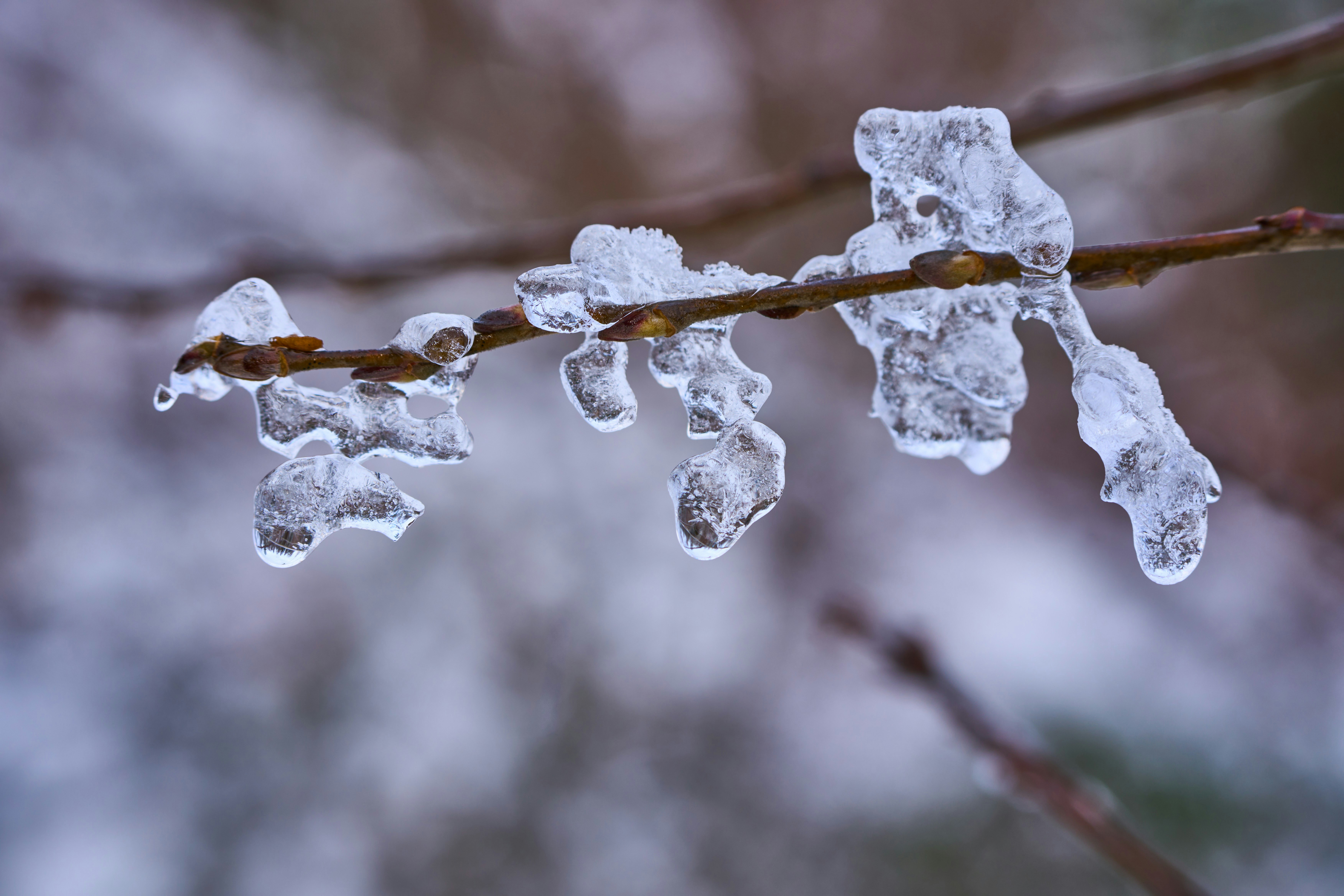 Photo by wolfgang_hasselmann