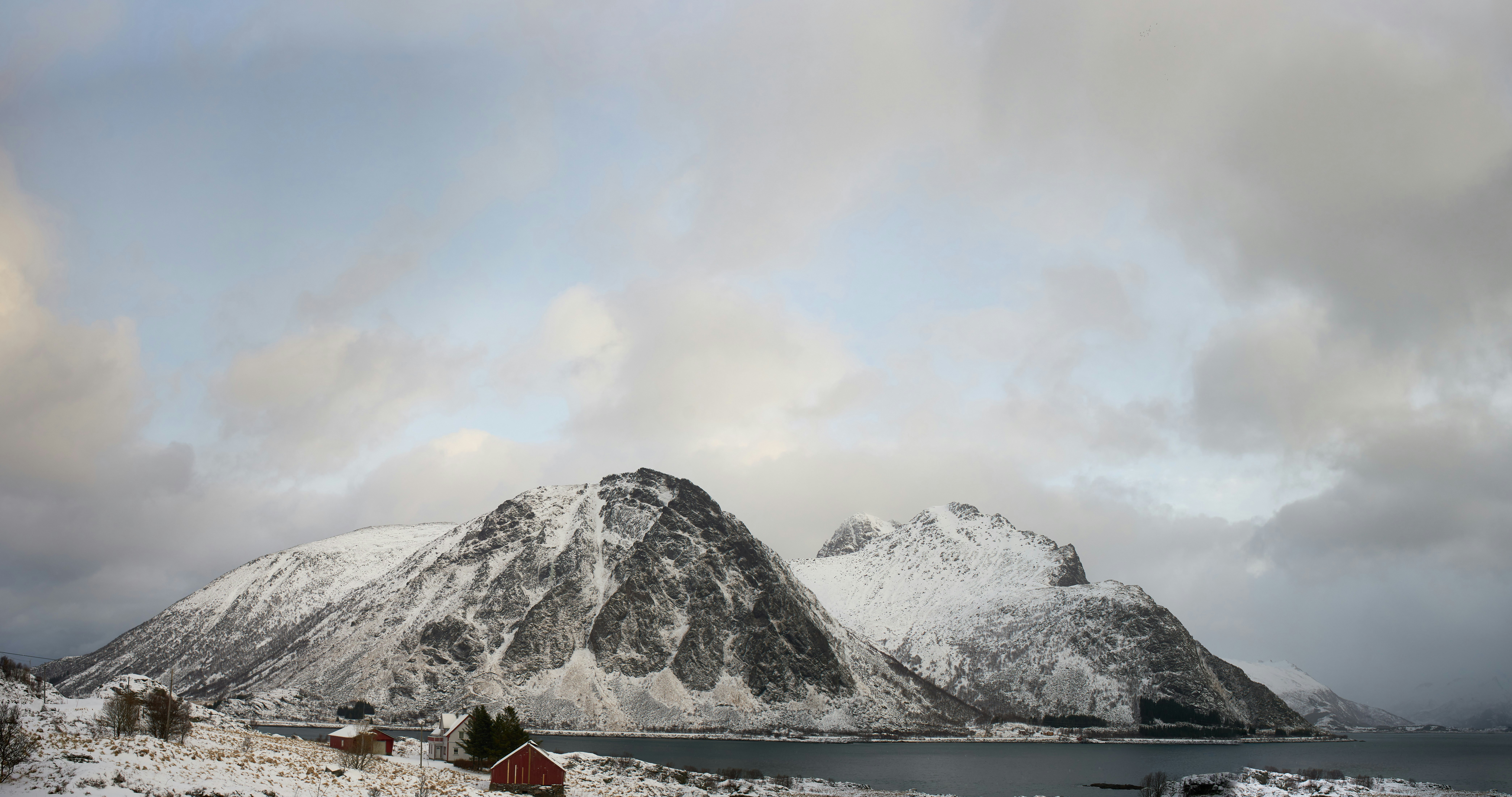 Photo by wolfgang_hasselmann