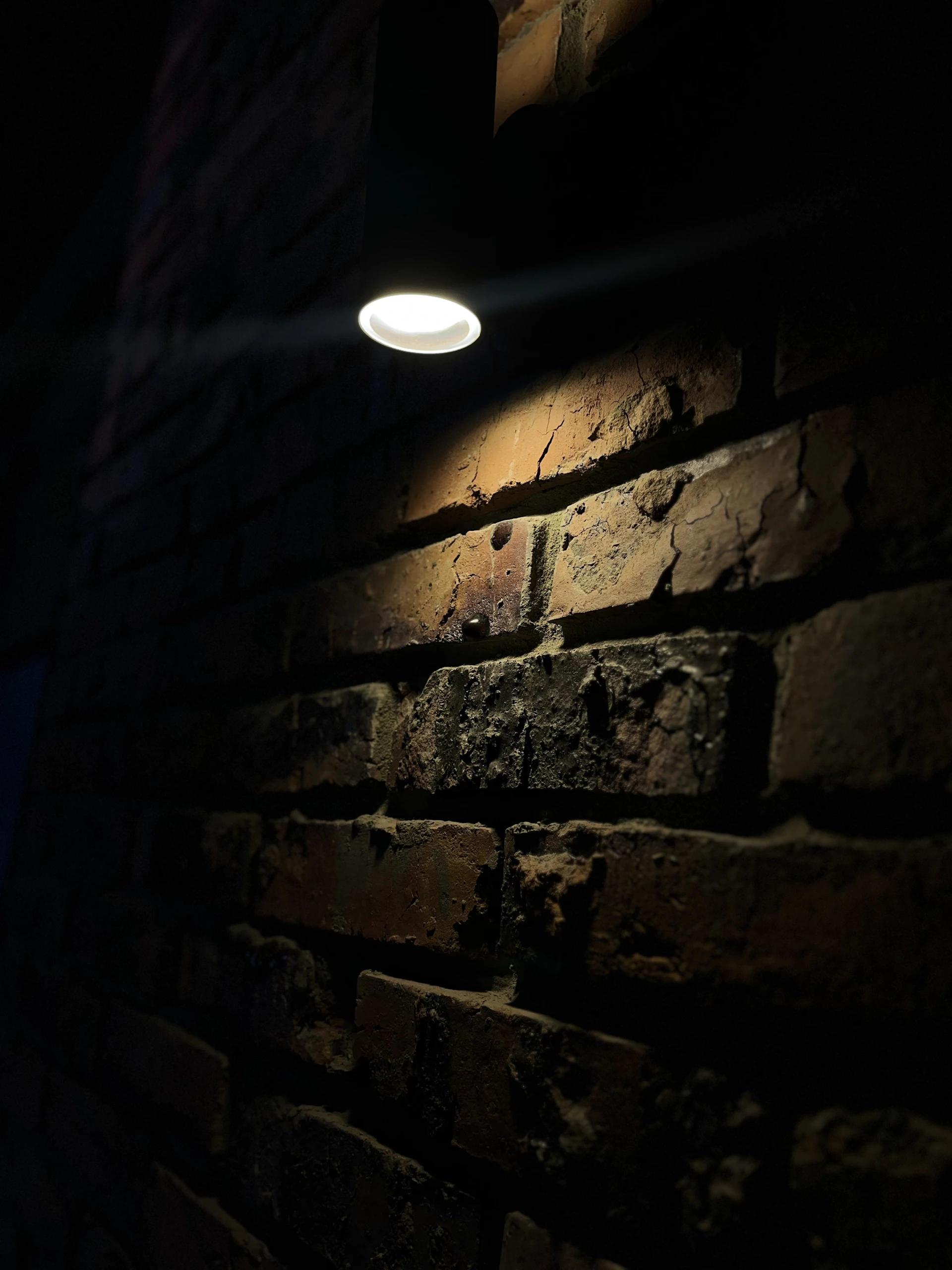 A cinematic still from a moody urban portrait session, capturing deep shadows and soft highlights against a textured brick wall.