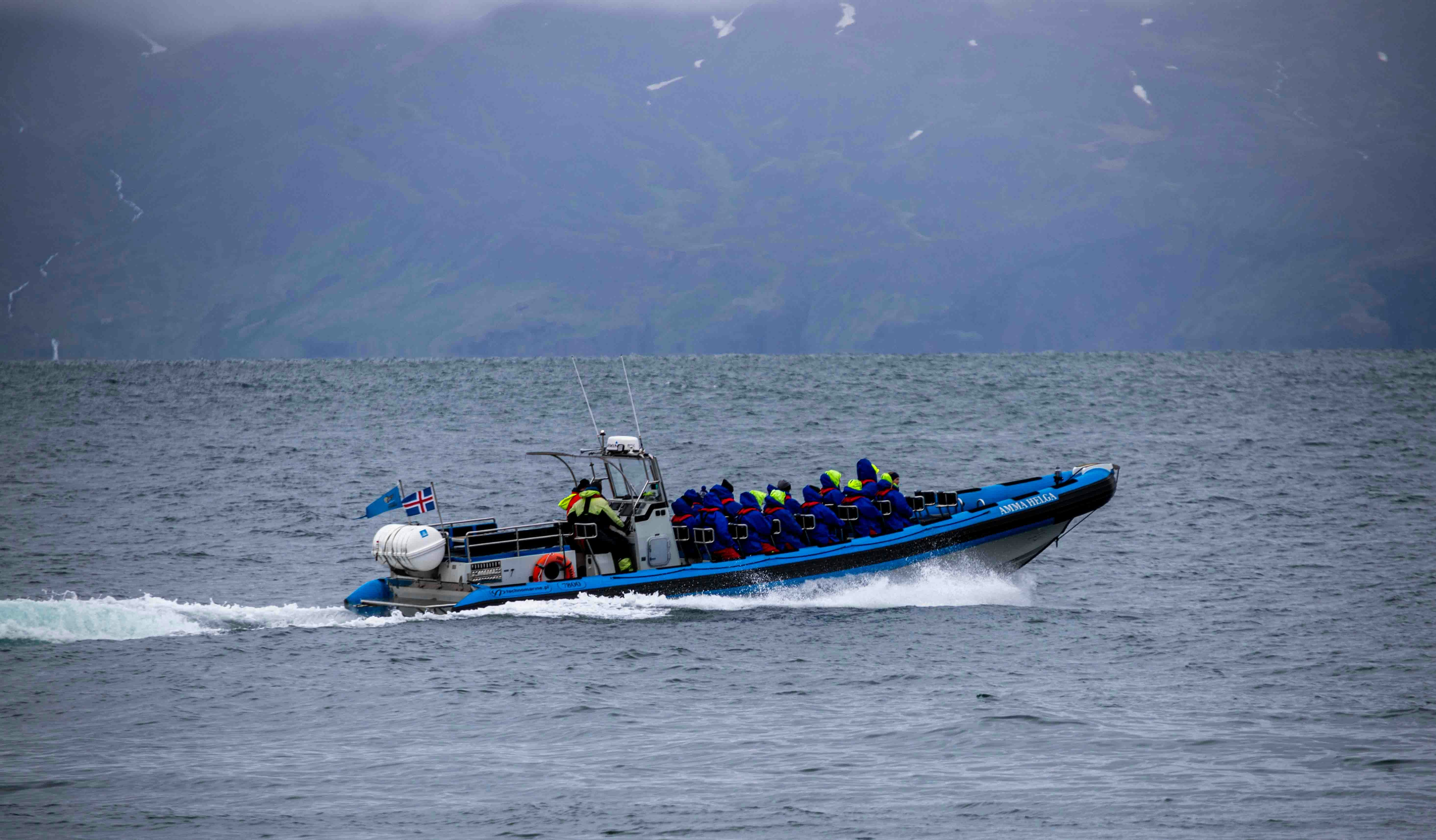 The Ultimate Guide to Travel Insurance: What You Need to Know and How to Choose the Best Option