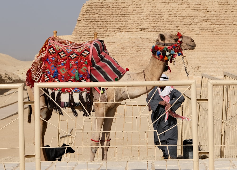 a camel standing next to a man in front of a pyramid