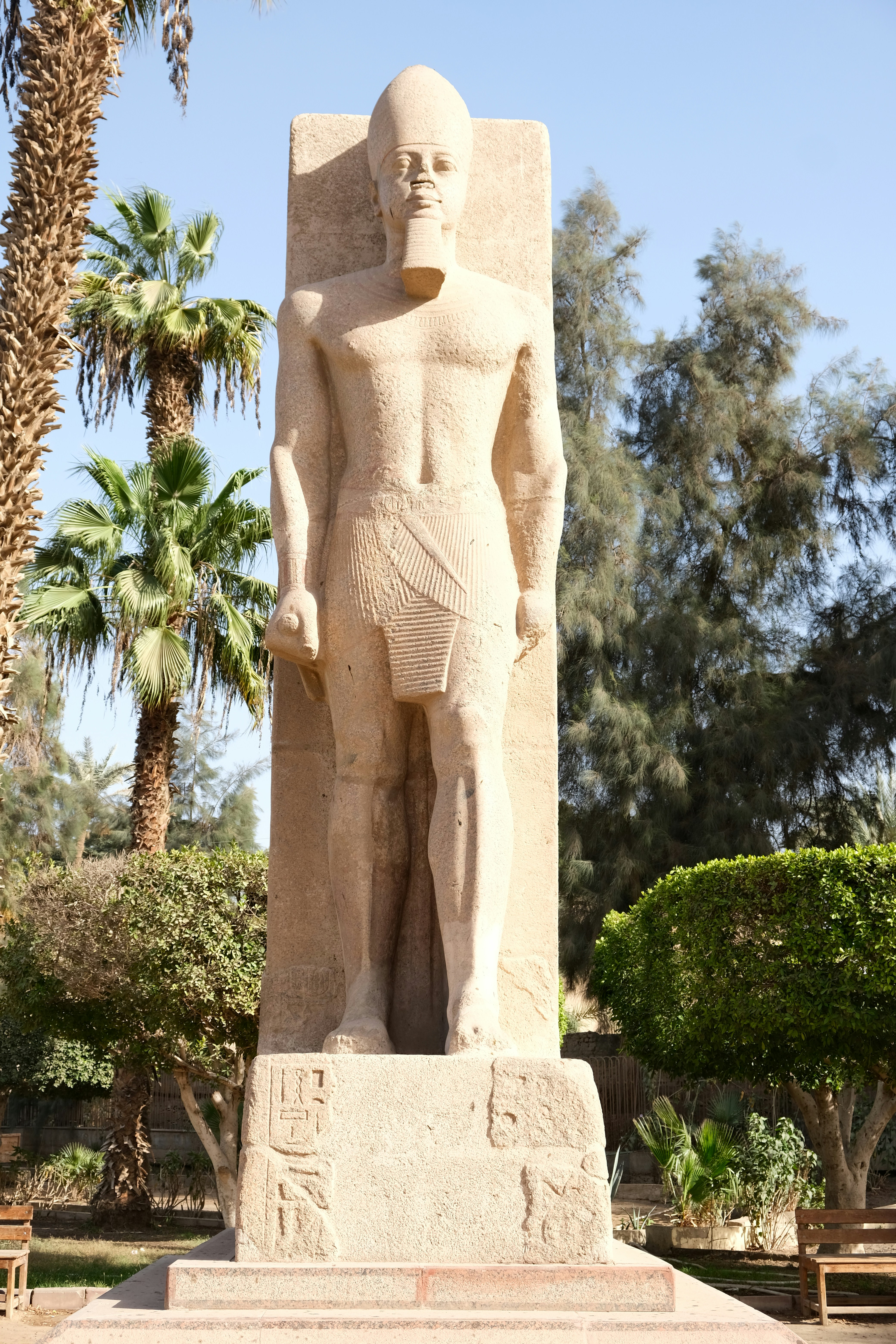 uma estátua de um homem ao lado de uma palmeira