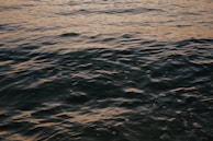 Calm sea waves with a gentle ripple effect, reflecting a muted sunset or early dawn light, creating a serene and tranquil atmosphere.