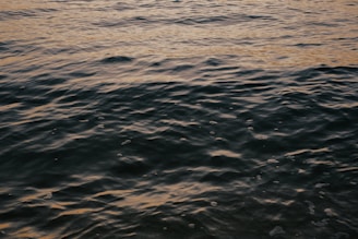 Calm sea waves with a gentle ripple effect, reflecting a muted sunset or early dawn light, creating a serene and tranquil atmosphere.