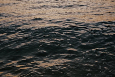 Calm sea waves with a gentle ripple effect, reflecting a muted sunset or early dawn light, creating a serene and tranquil atmosphere.
