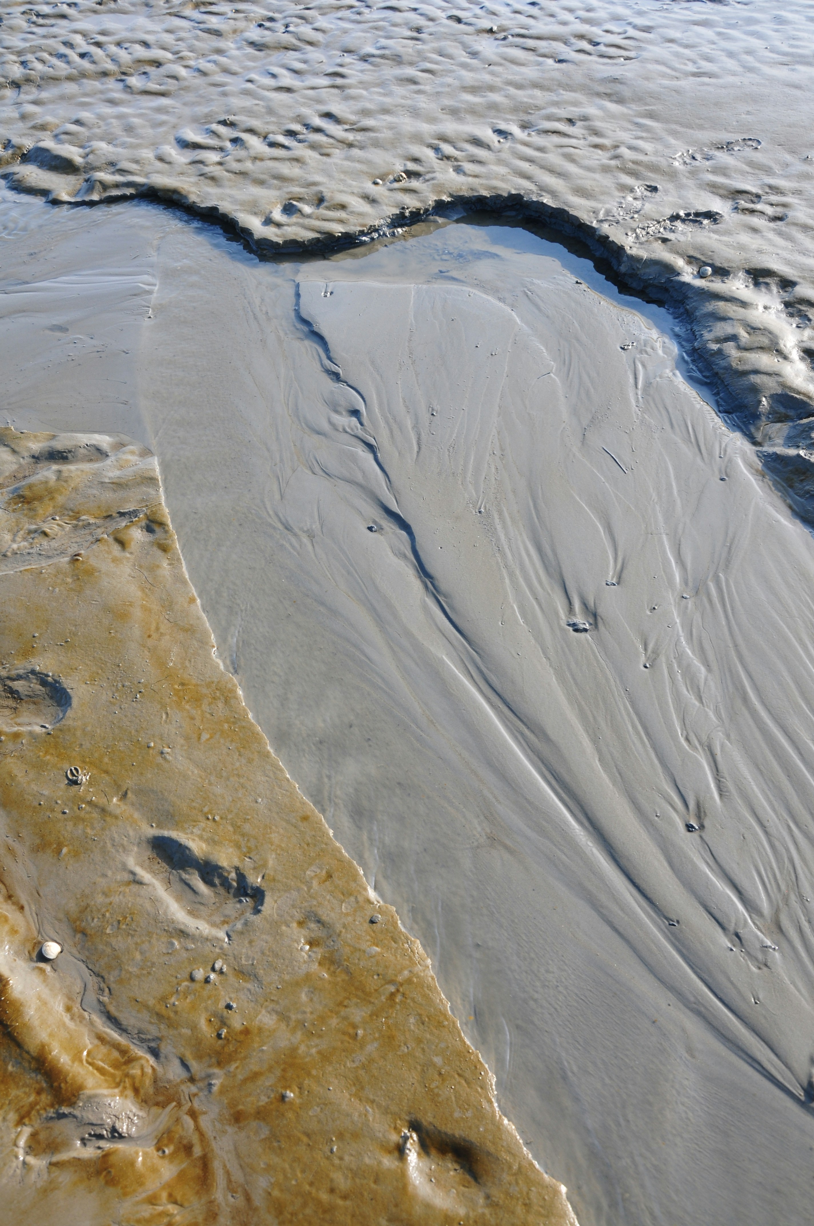 Photo by thomaslohmann