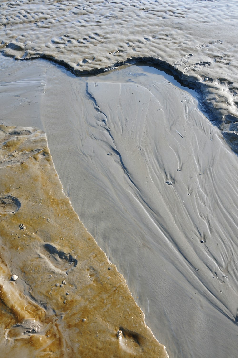 a beach area with sand and water on it