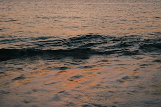 Oil waves gently moving on the surface of a calm sea at dawn.