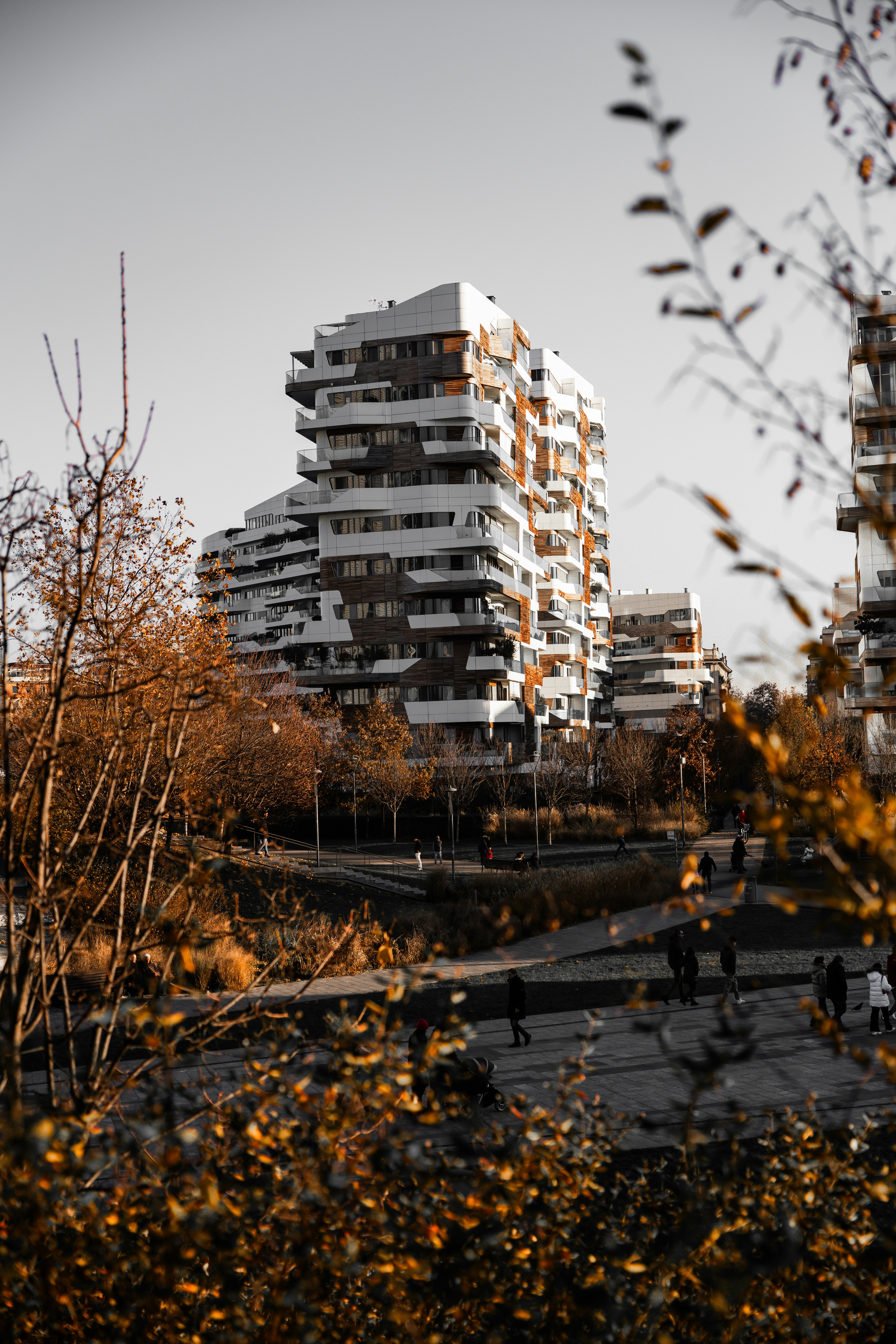 Photo by romanellophotos