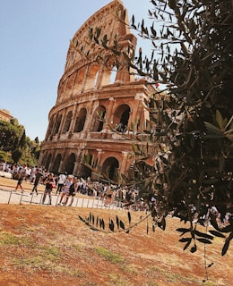 An ancient amphitheater surrounded by crowds of tourists, with a clear blue sky above. Olive tree branches partially obstruct the view, adding greenery to the scene. The structure's massive stone arches and tiered seating are visible, embodying historic grandeur.