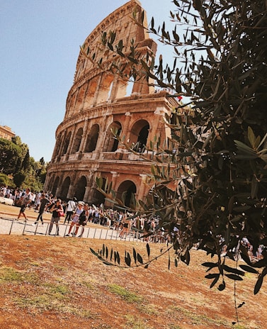An ancient amphitheater surrounded by crowds of tourists, with a clear blue sky above. Olive tree branches partially obstruct the view, adding greenery to the scene. The structure's massive stone arches and tiered seating are visible, embodying historic grandeur.