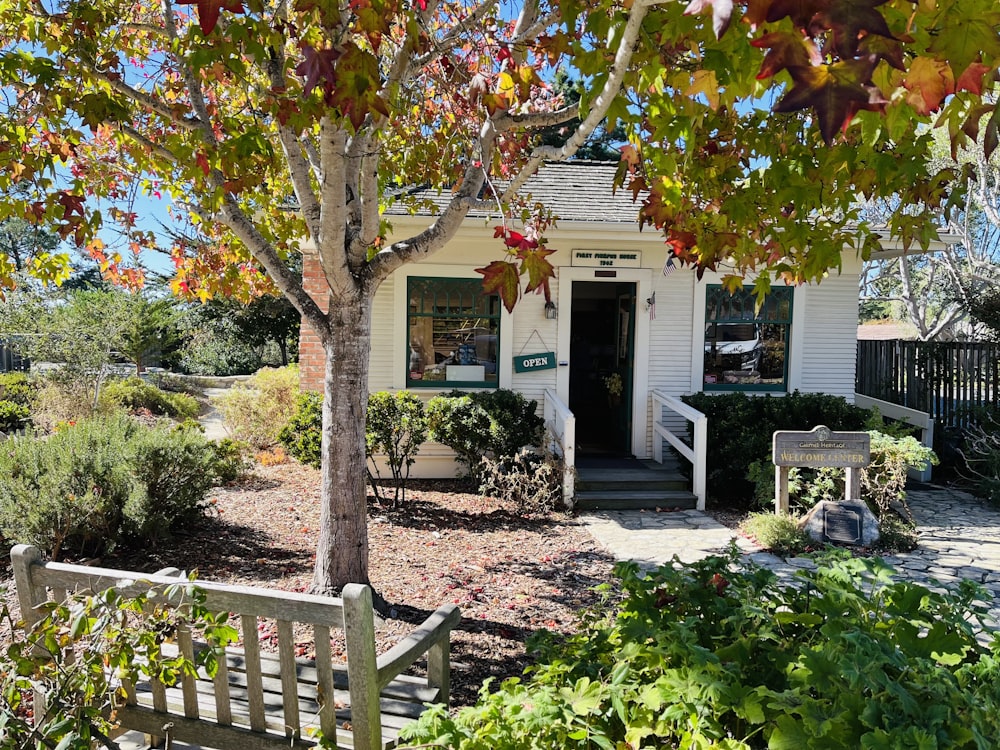 a small white building with a tree in front of it