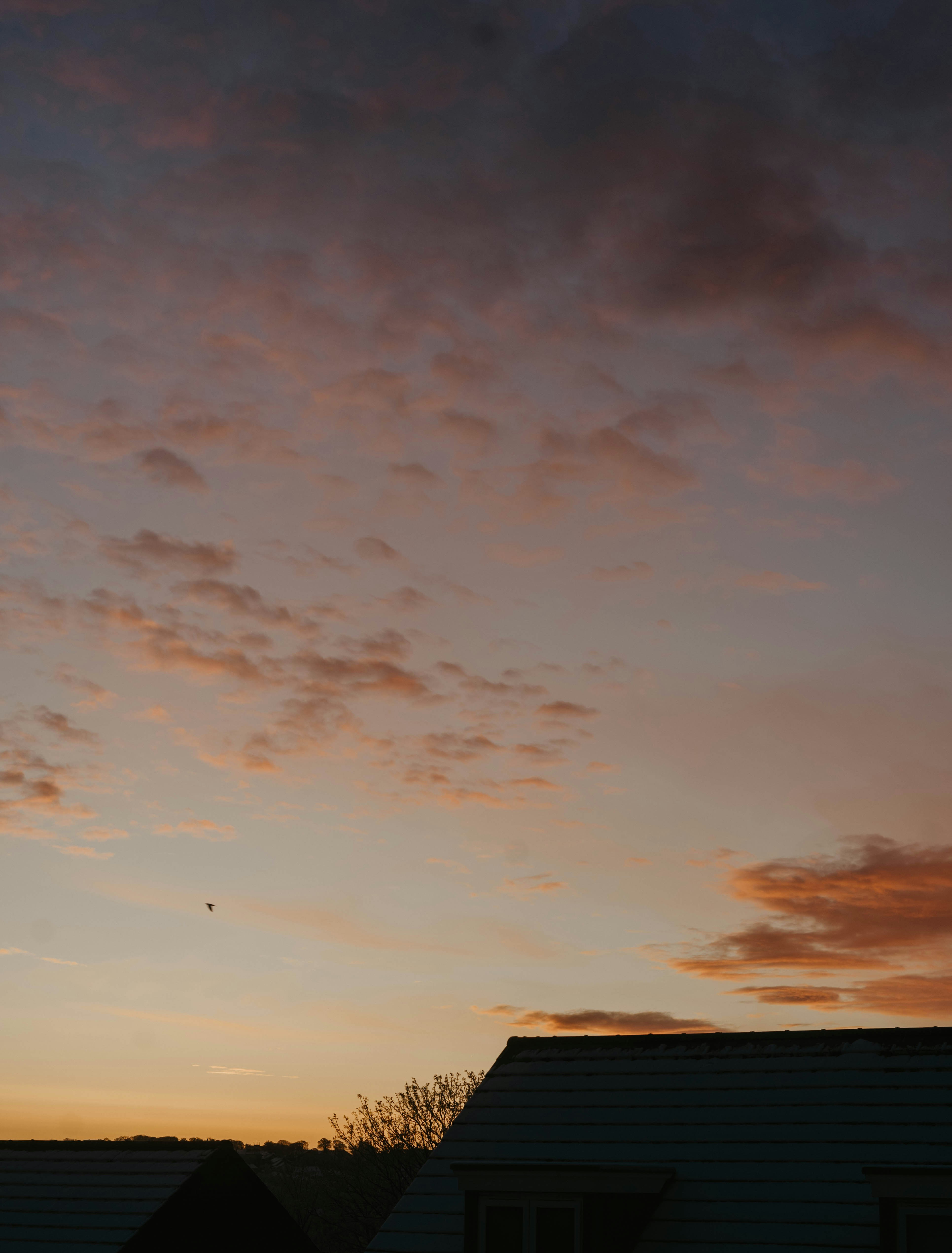 a bird flying in the sky at sunset