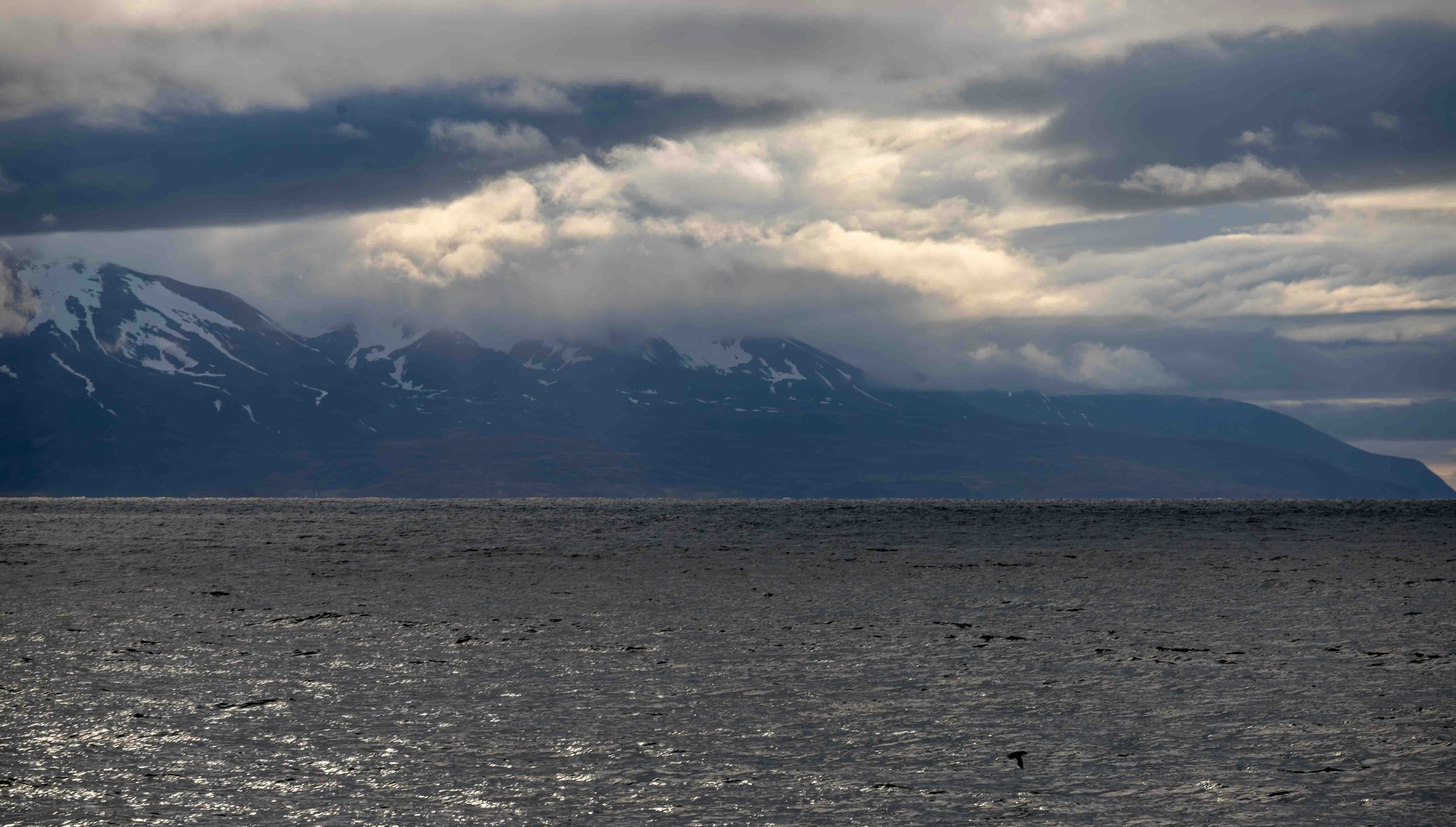 Husavik – Cultural & Historical Context