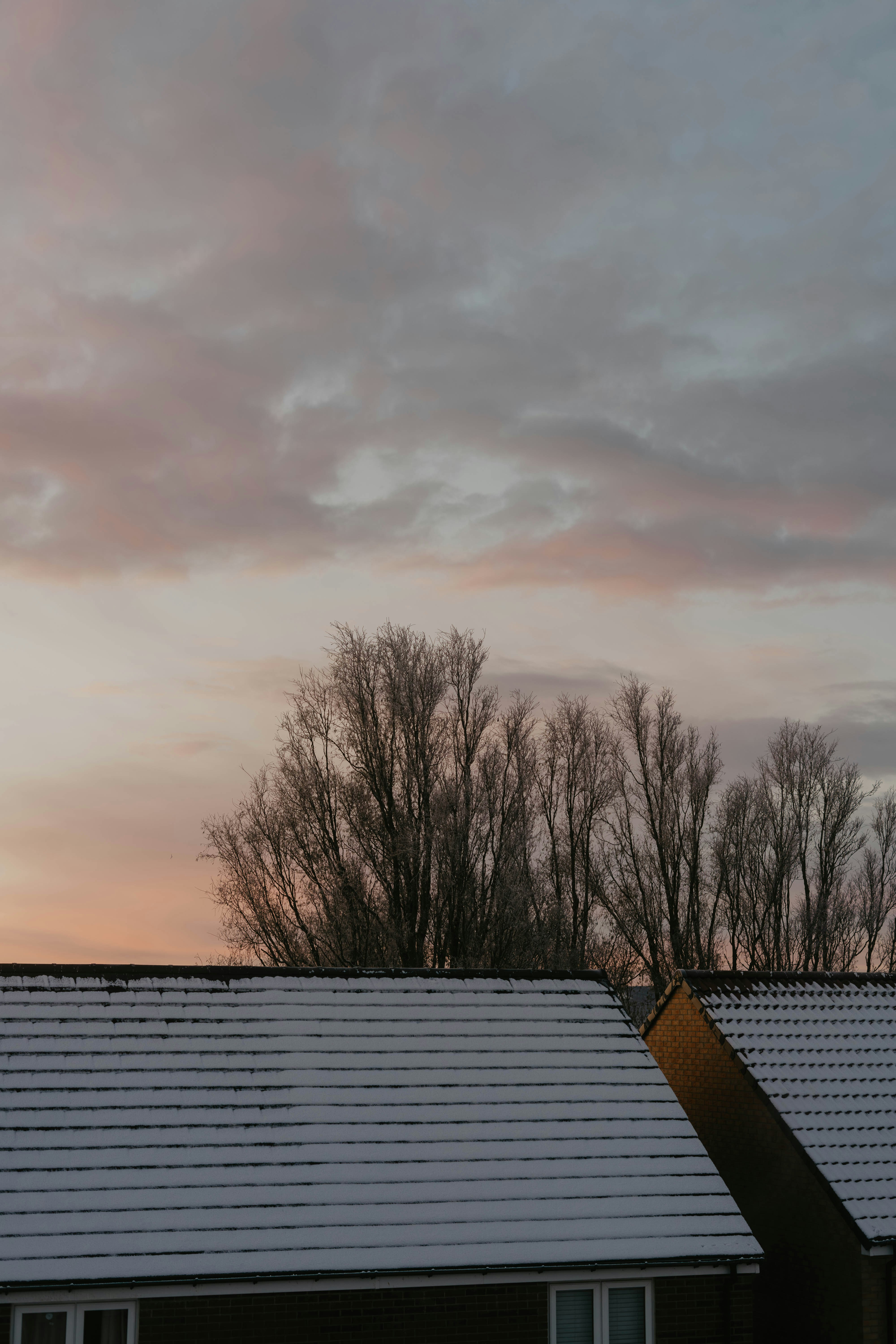 a house with snow on the roof and trees in the background